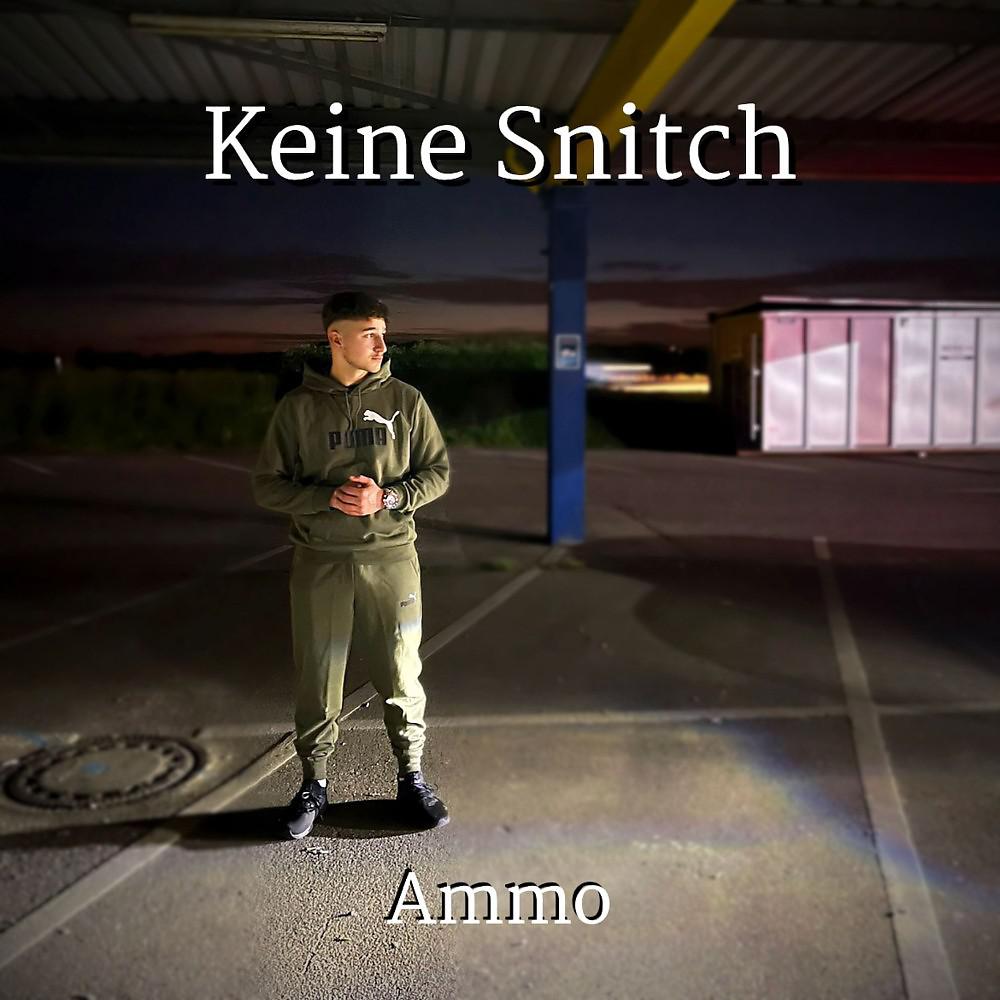 Постер альбома Keine Snitch