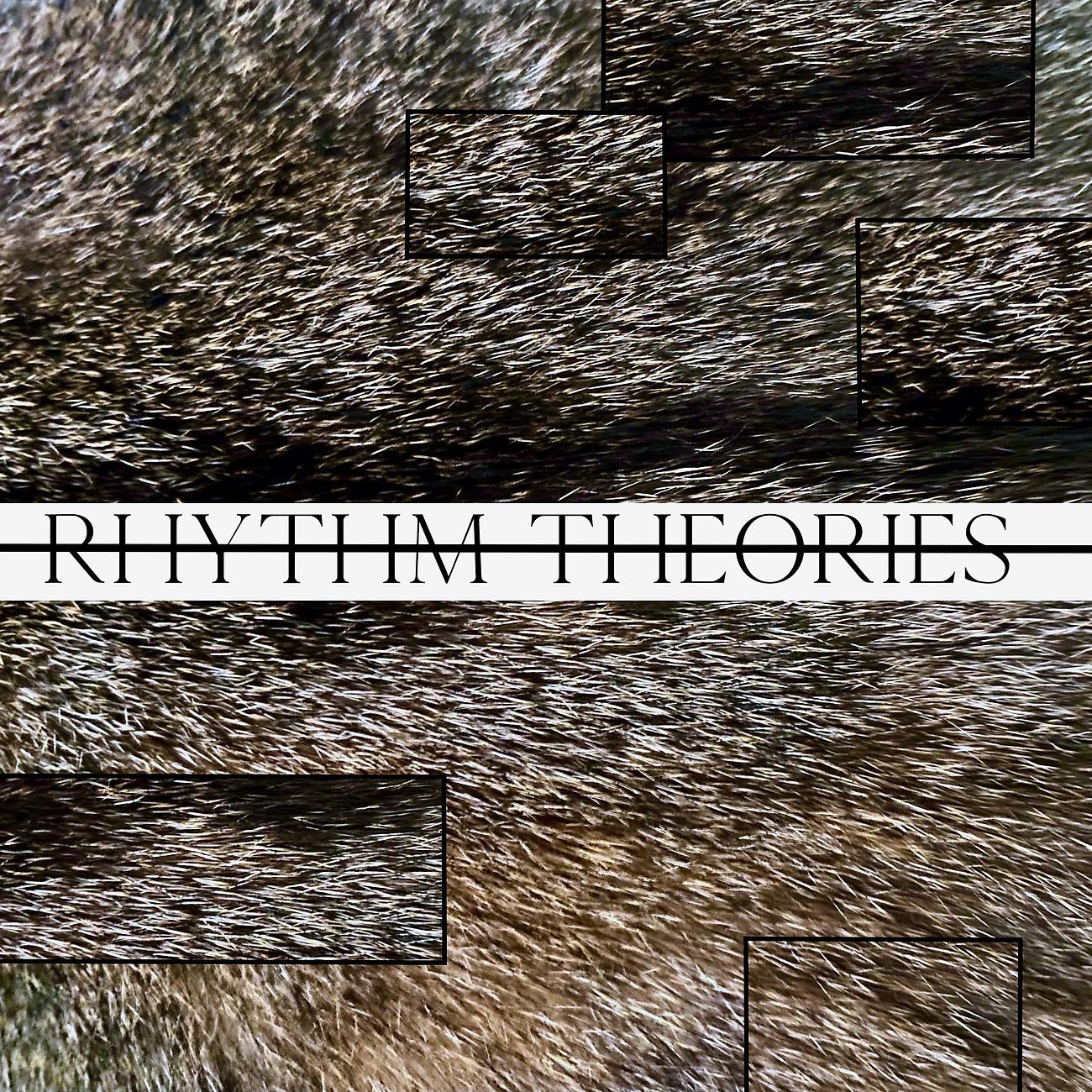 Постер альбома Rhythm Theories 004