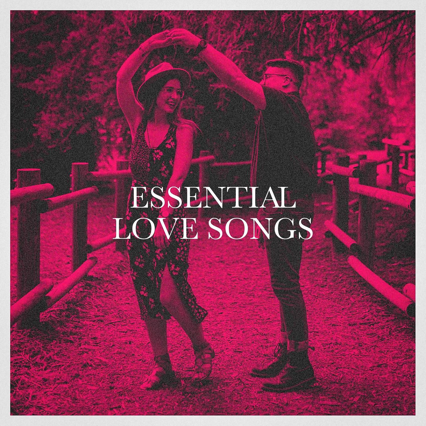 Постер альбома Essential Love Songs