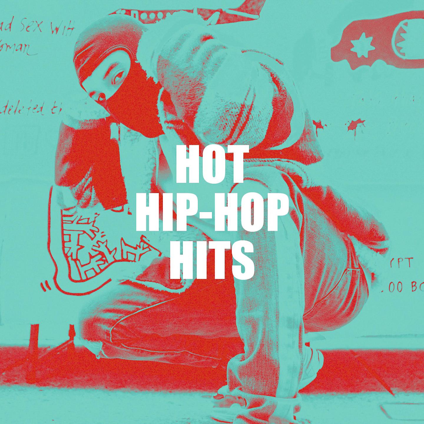 Постер альбома Hot Hip-Hop Hits