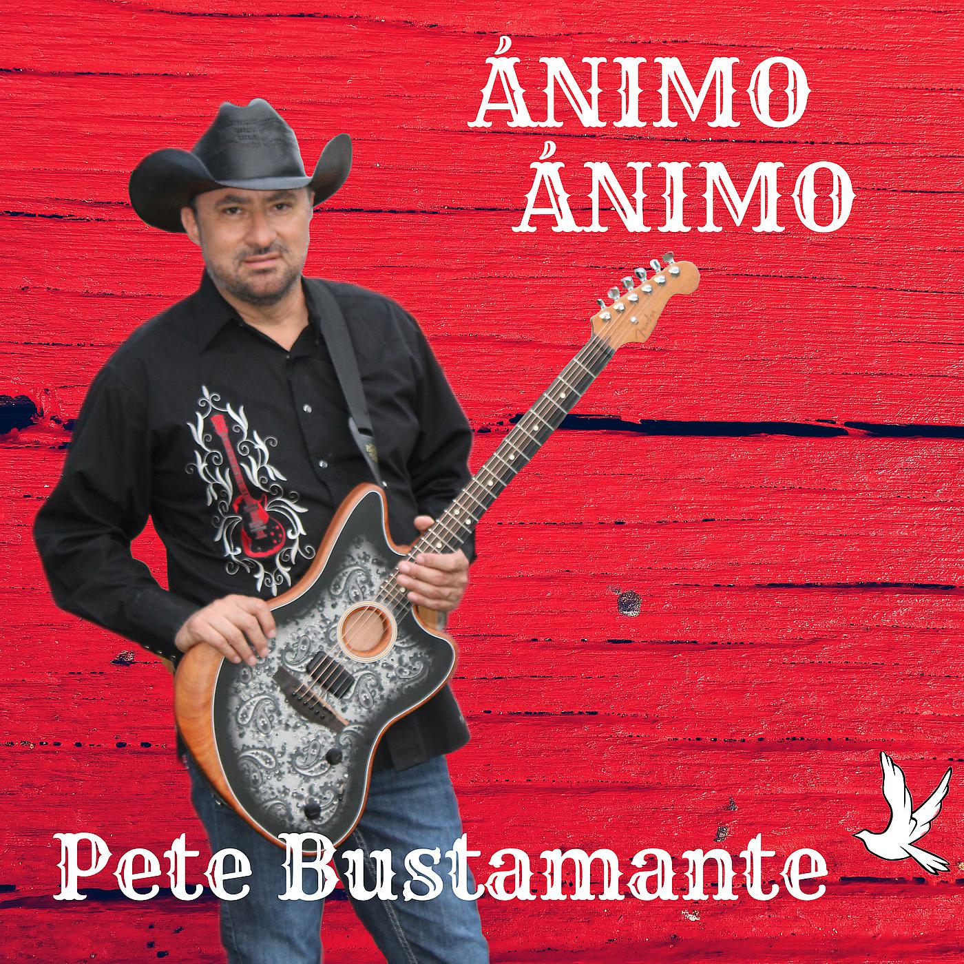 Постер альбома Ánimo Ánimo