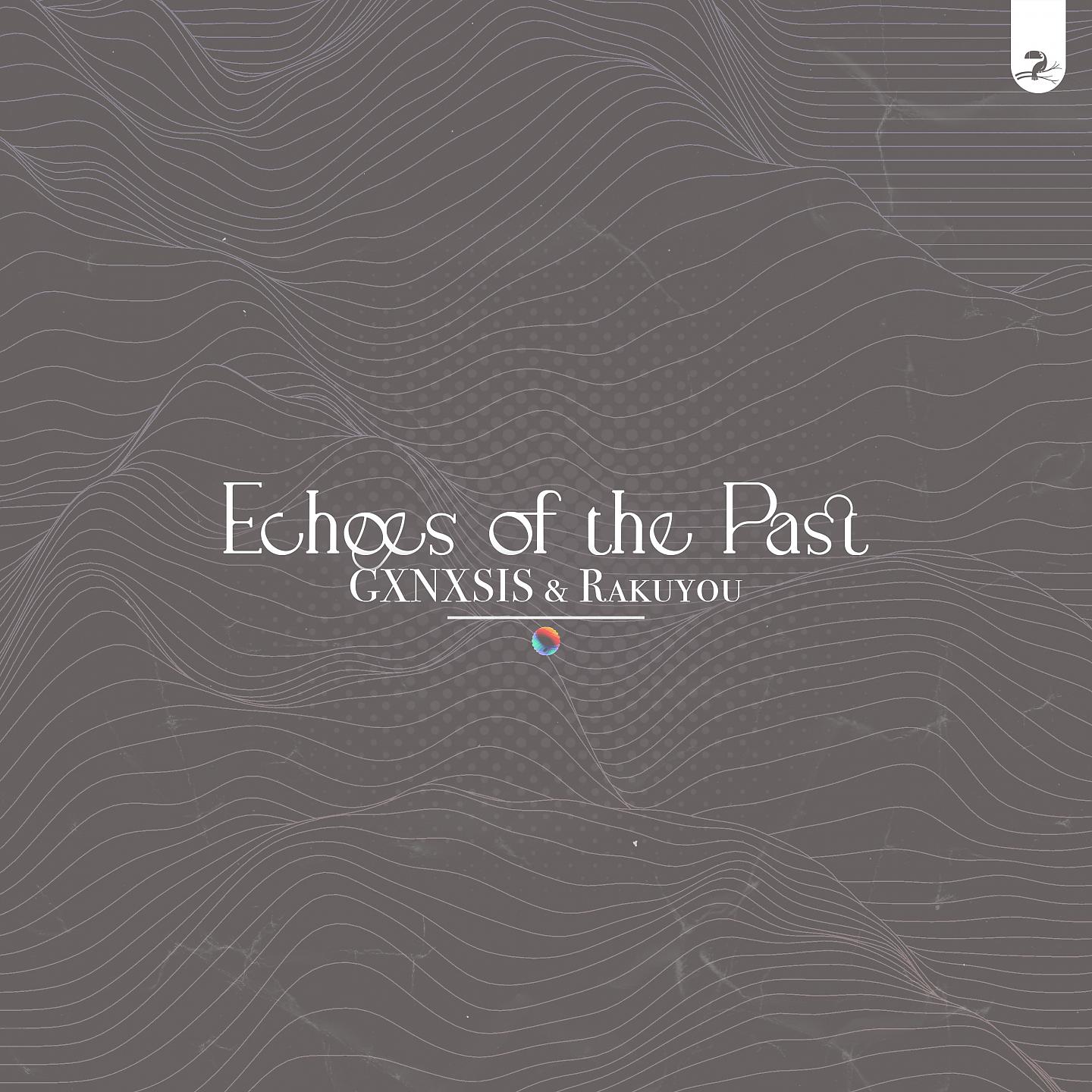 Постер альбома Echoes of the Past