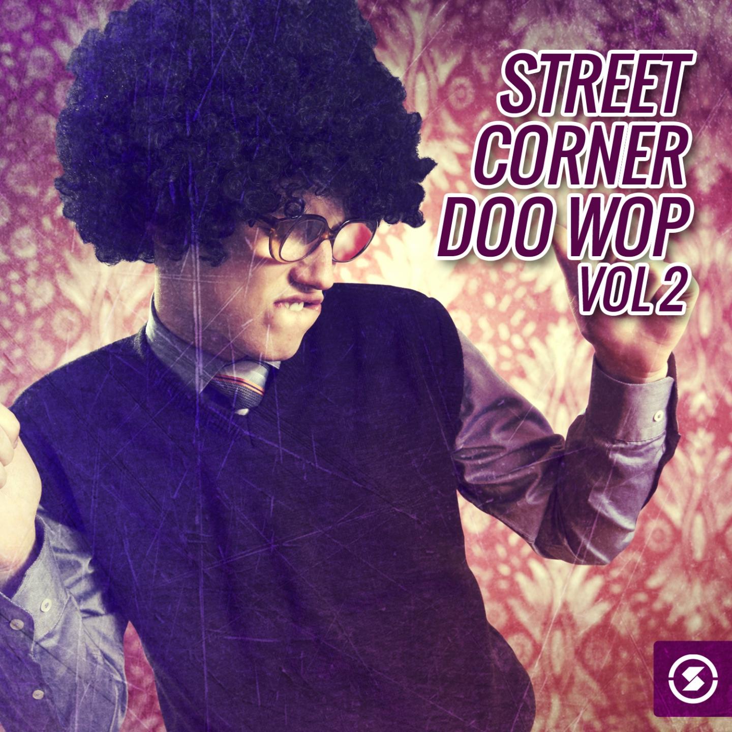 Постер альбома Street Corner Doo Wop, Vol. 2
