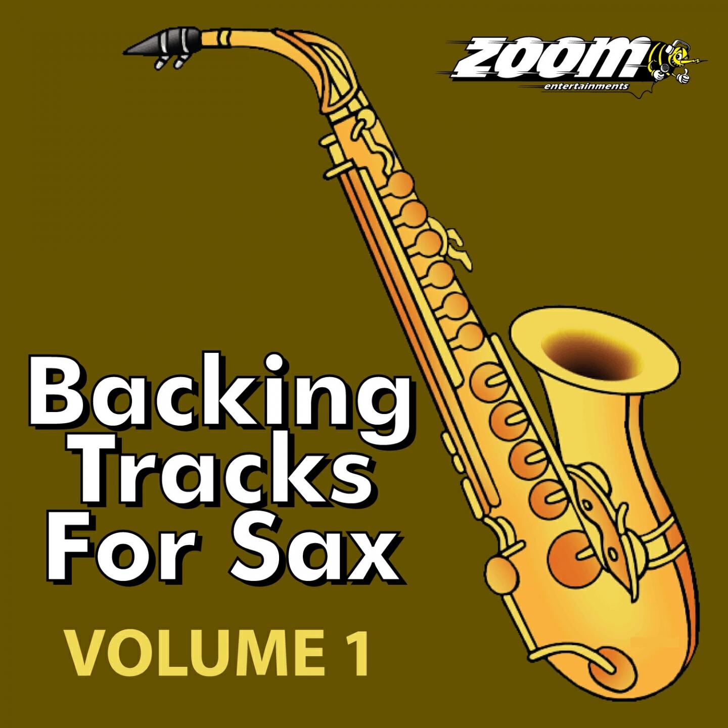 Zoom Entertainments Limited - Jungleland (Backing Track for Sax) [In the Style of Bruce Springsteen]