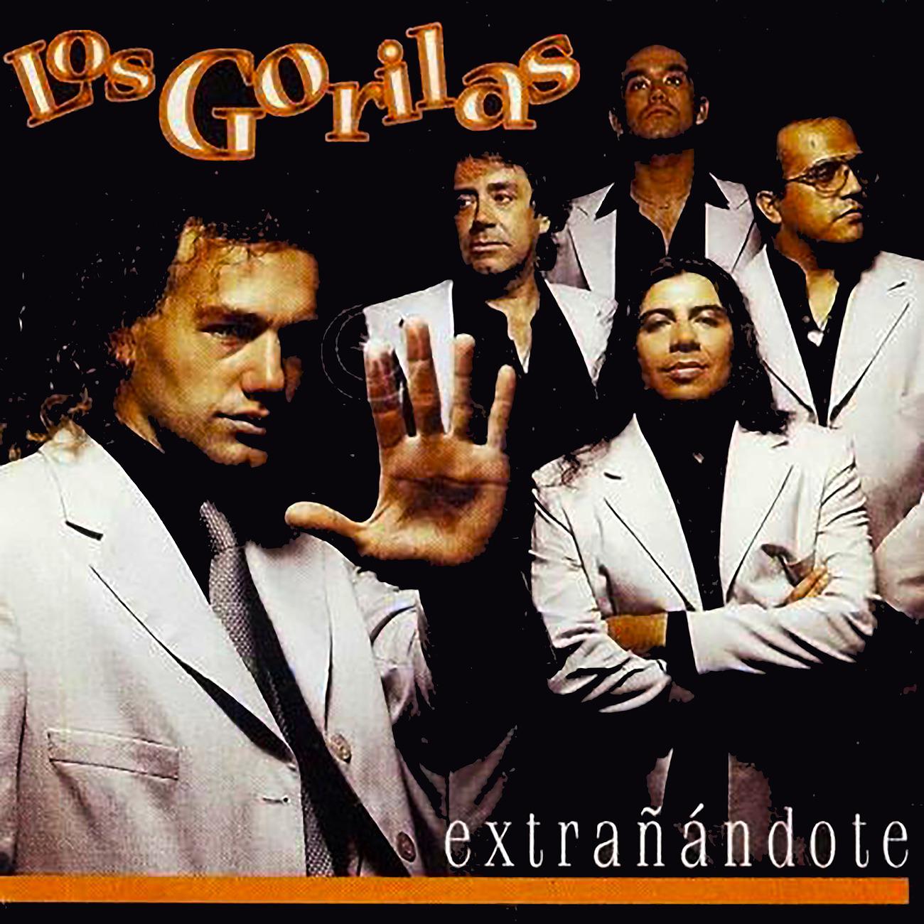 Постер альбома Extrañandote