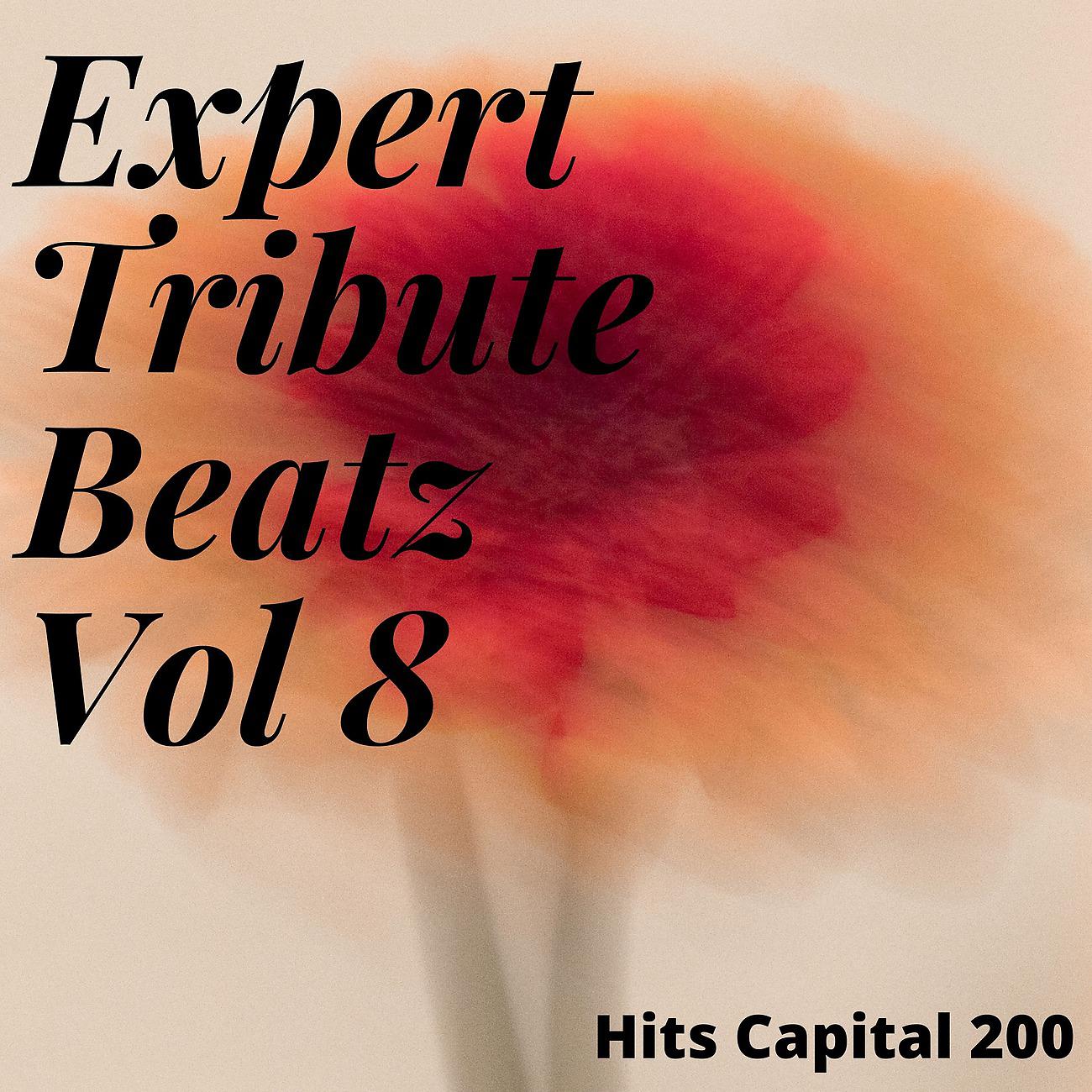 Постер альбома Expert Tribute Beatz Vol 8