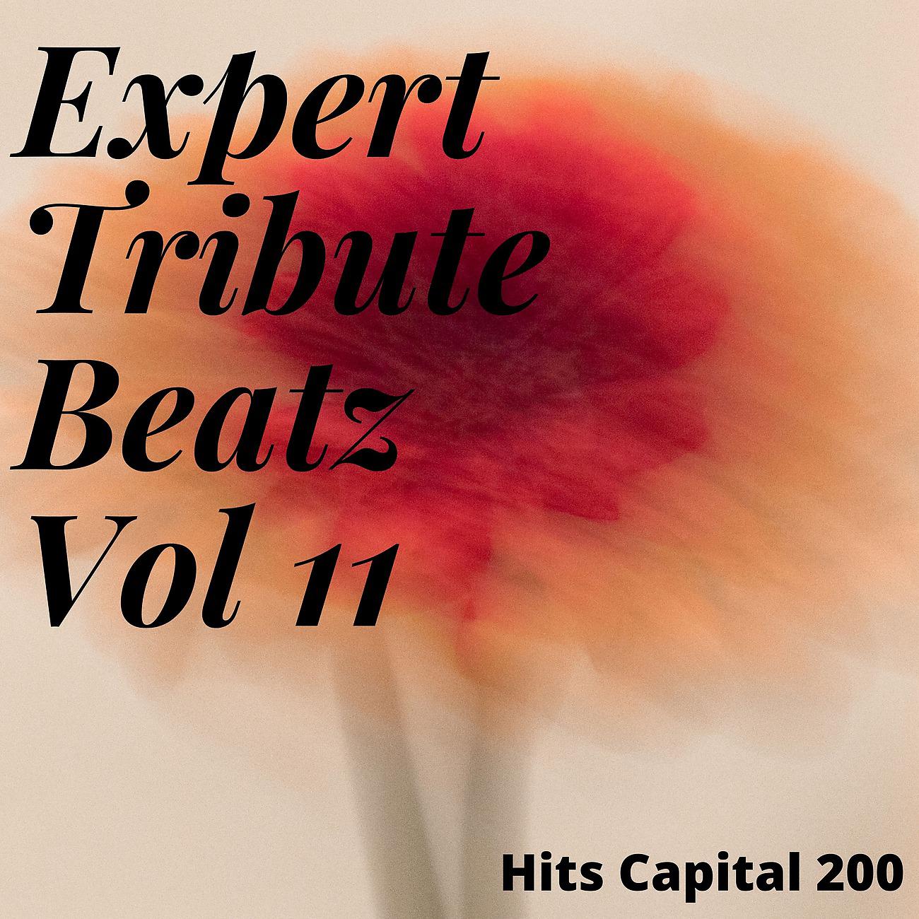 Постер альбома Expert Tribute Beatz Vol 11