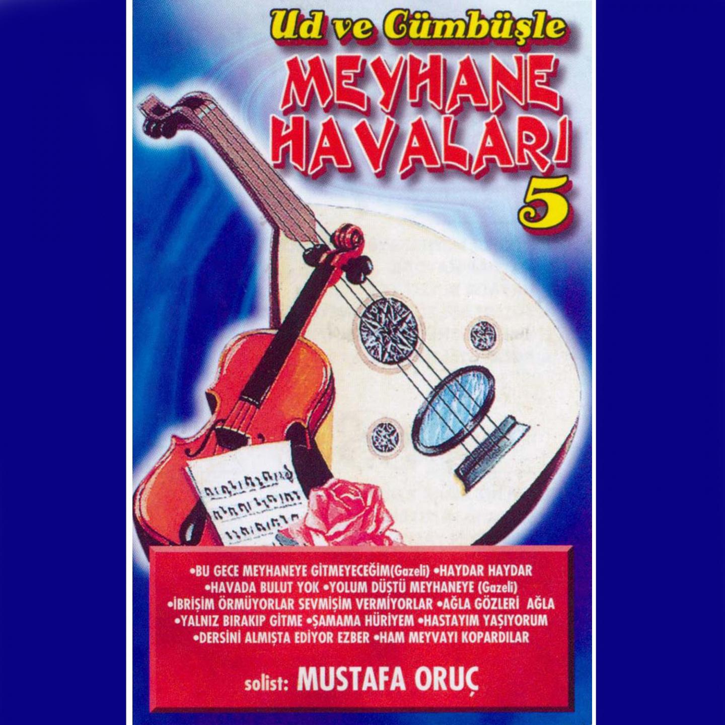 Постер альбома Ud Ve Cümbüşle Meyhane Havaları, Vol. 5