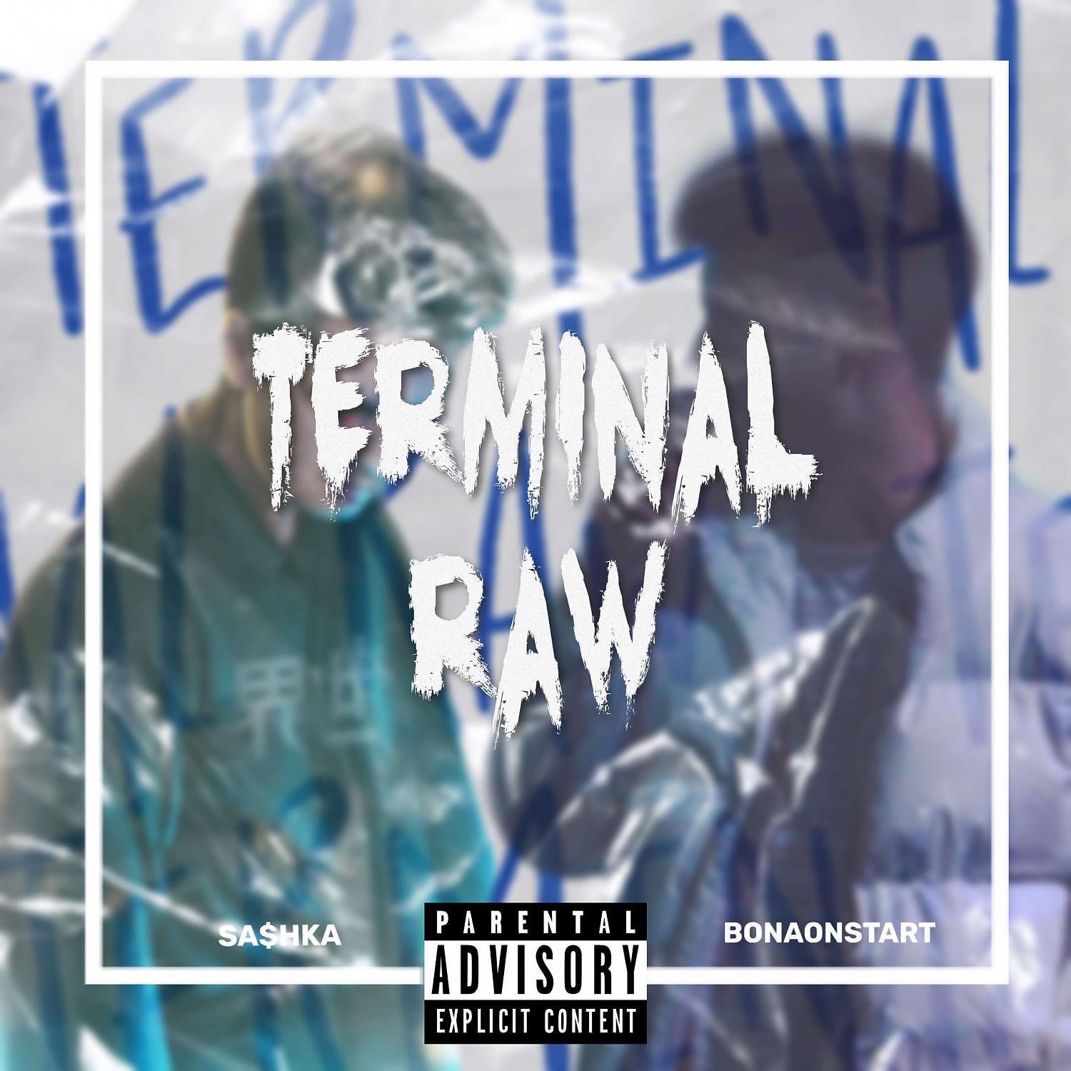 Постер альбома Terminal raw