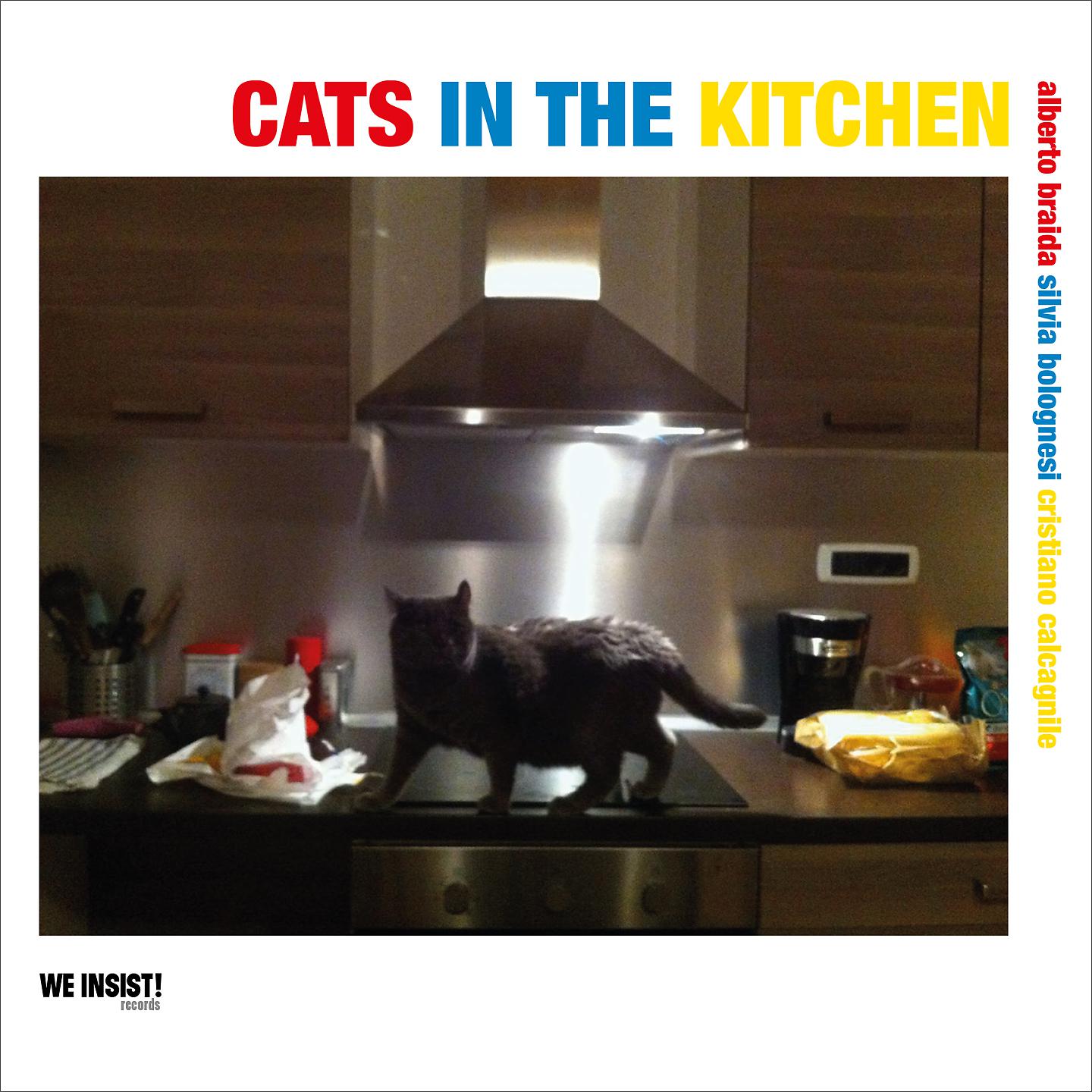 Постер альбома Cats in the kitchen