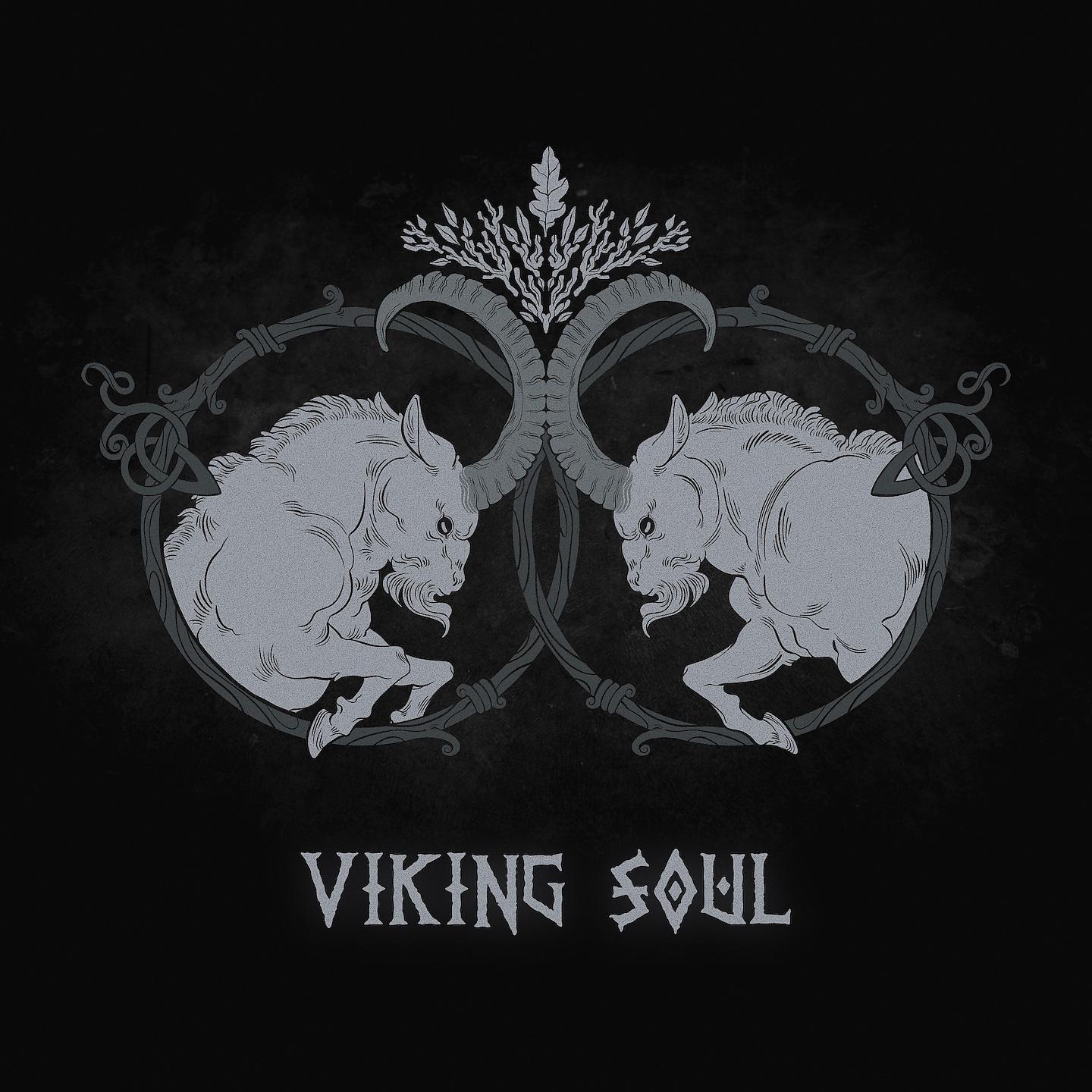 Постер альбома Viking Soul