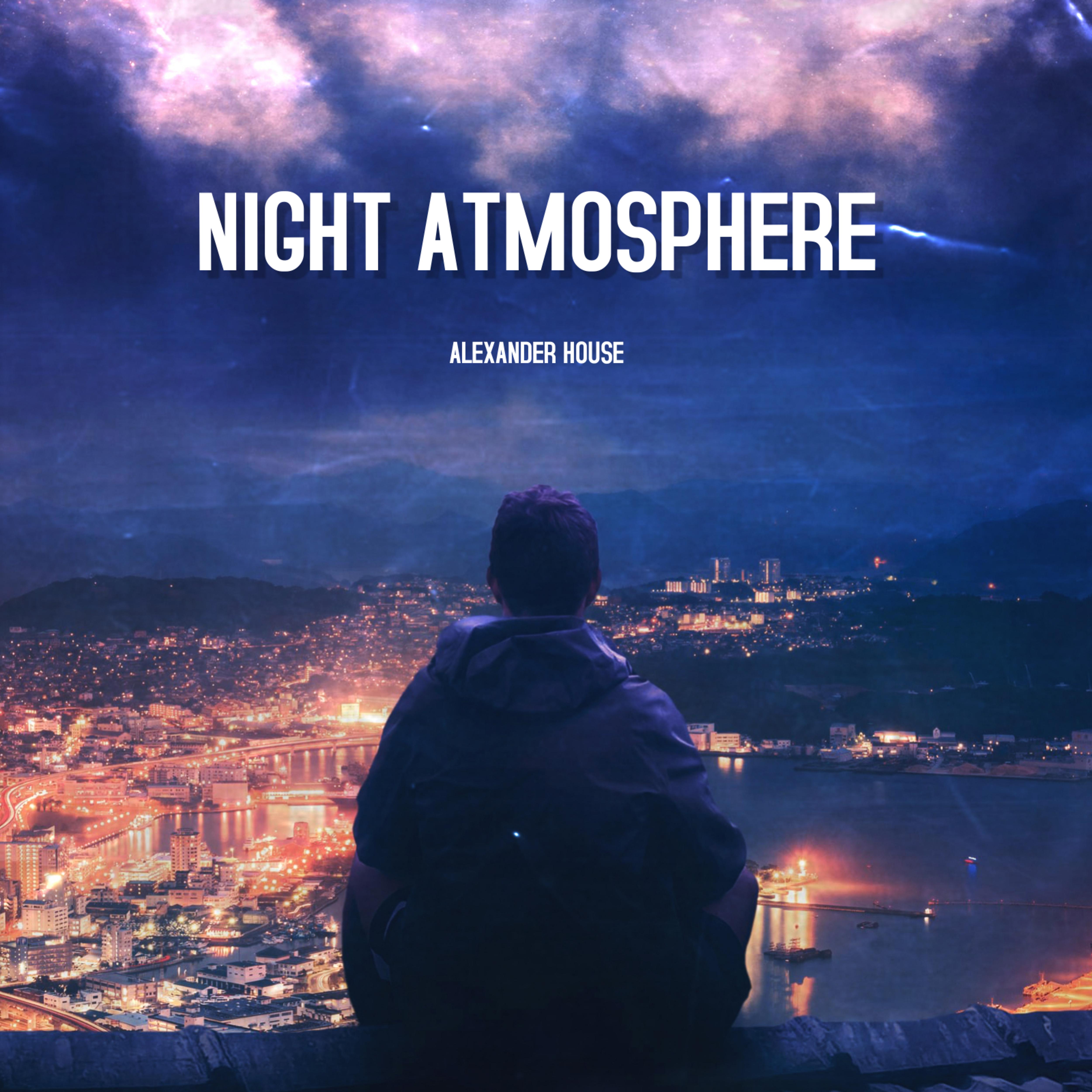Постер альбома Night Atmosphere