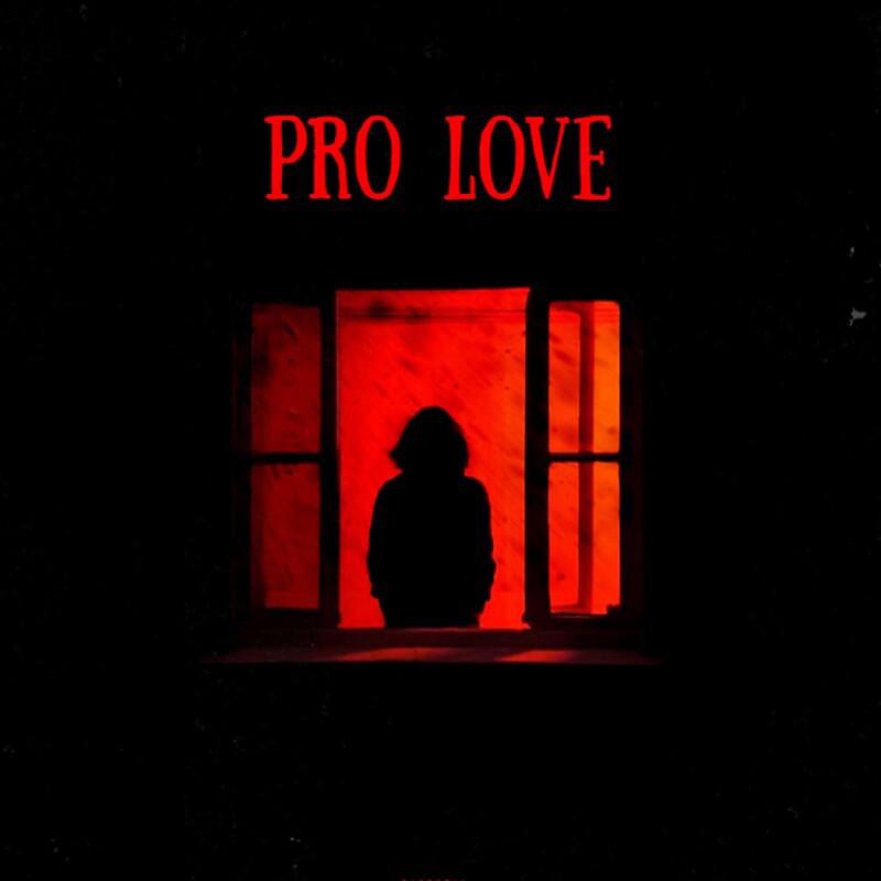 Постер альбома PRO LOVE