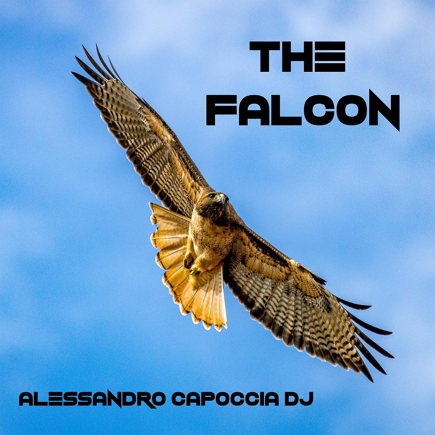 Постер альбома The Falcon
