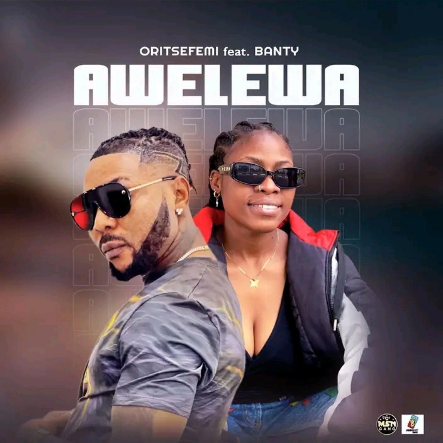 Постер альбома Awelewa