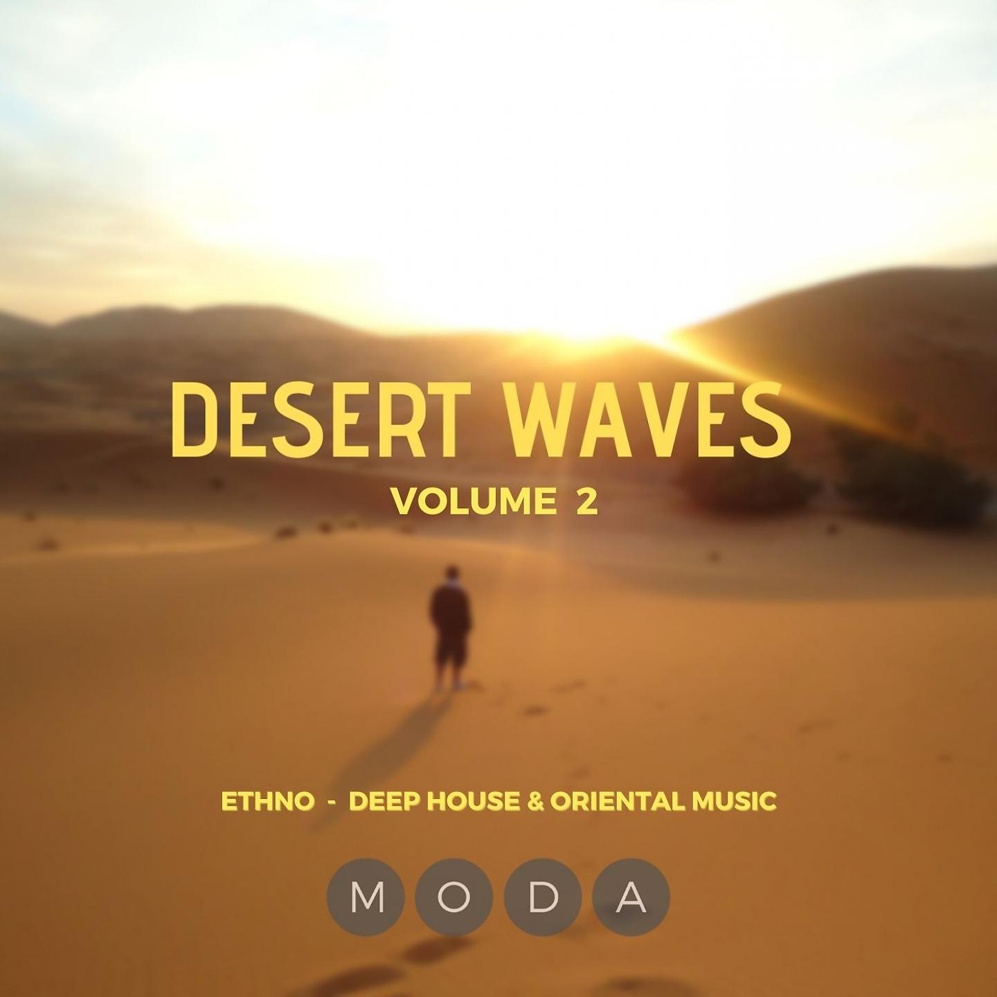 Постер альбома Desert Waves, Vol. 2