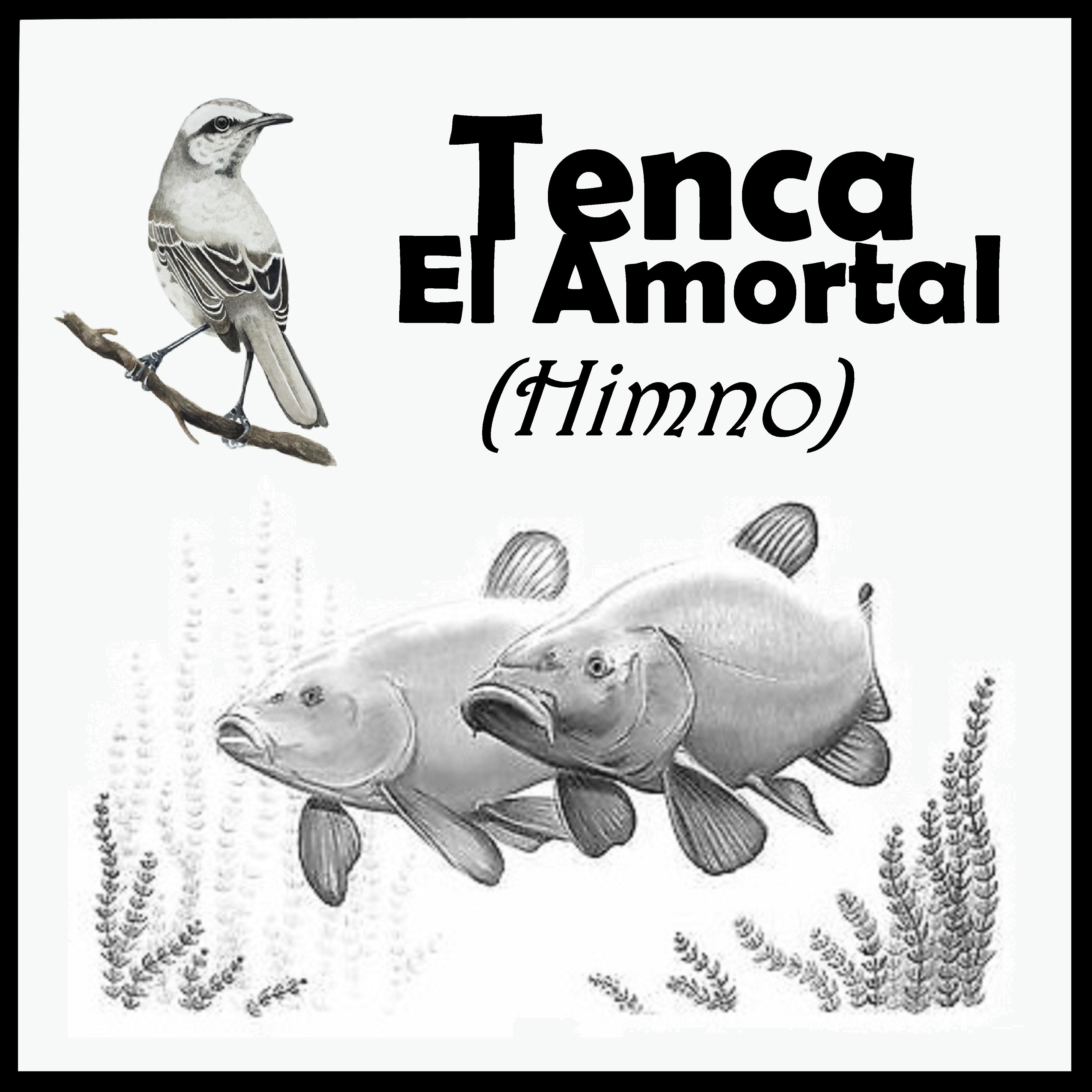 Постер альбома Tenca El Amortal (Himno)