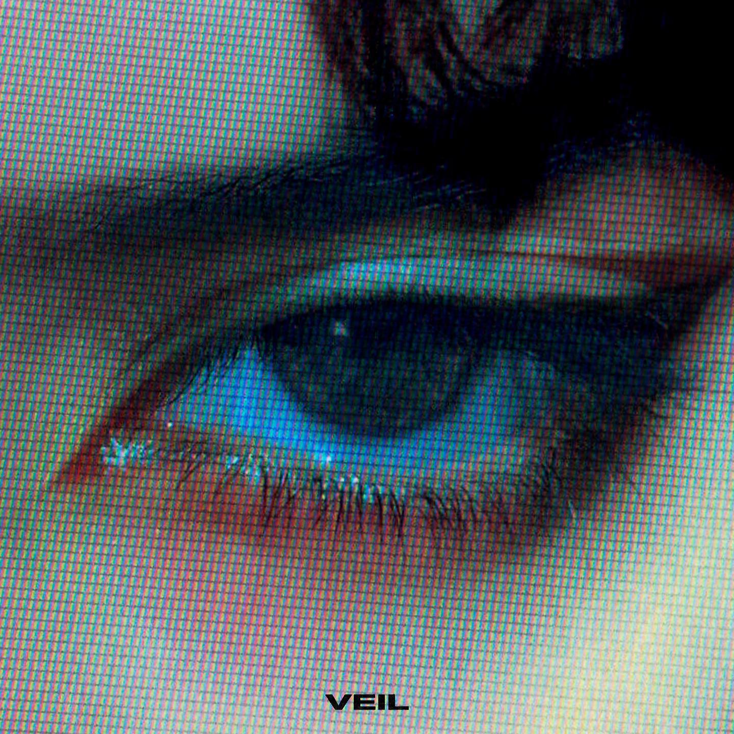 Постер альбома veil