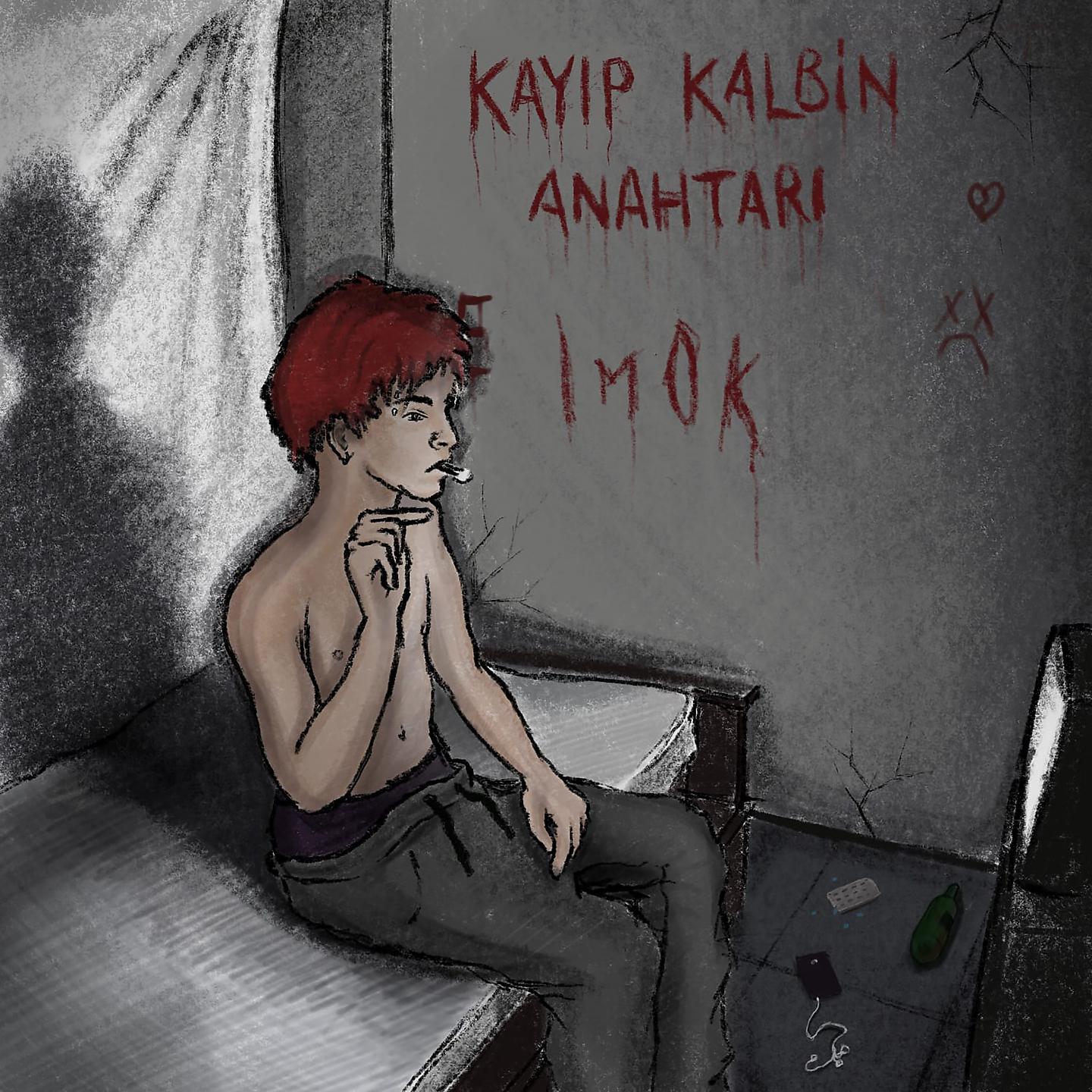 Постер альбома Kayıp Kalbin Anahtarı