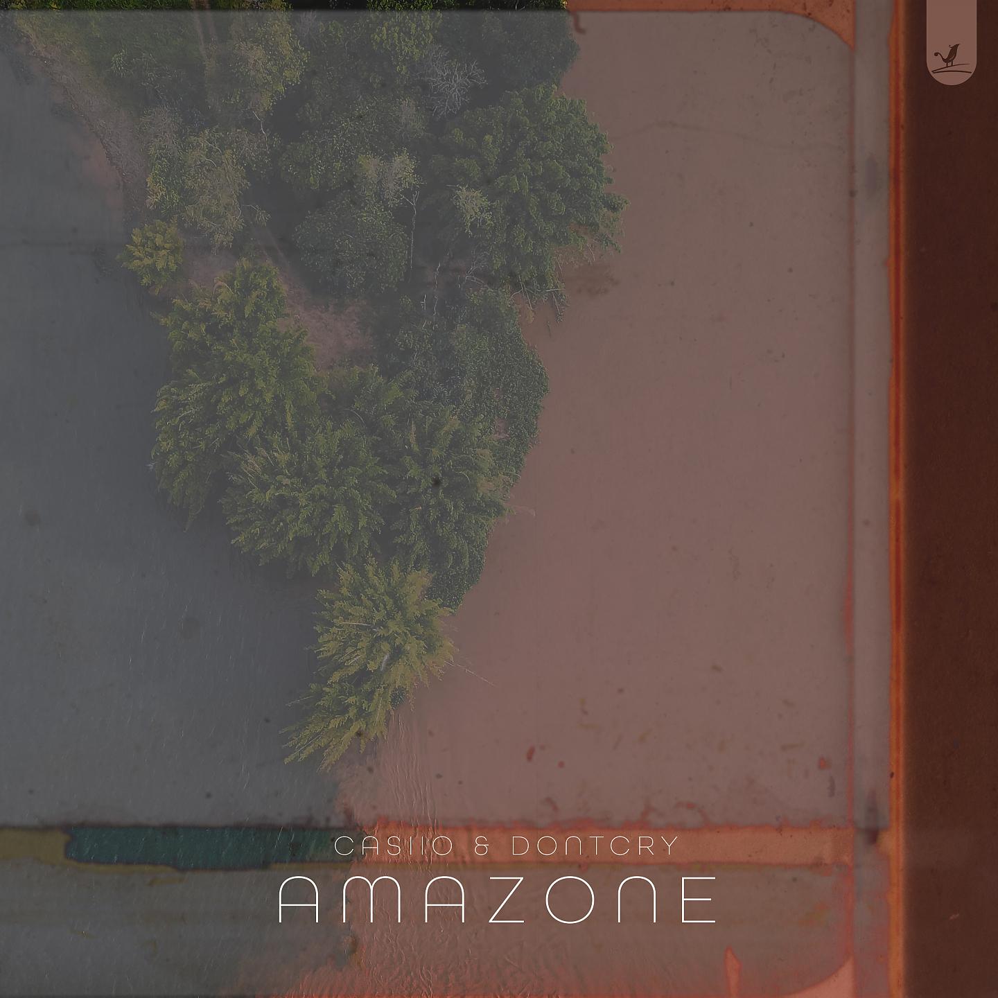 Постер альбома Amazone