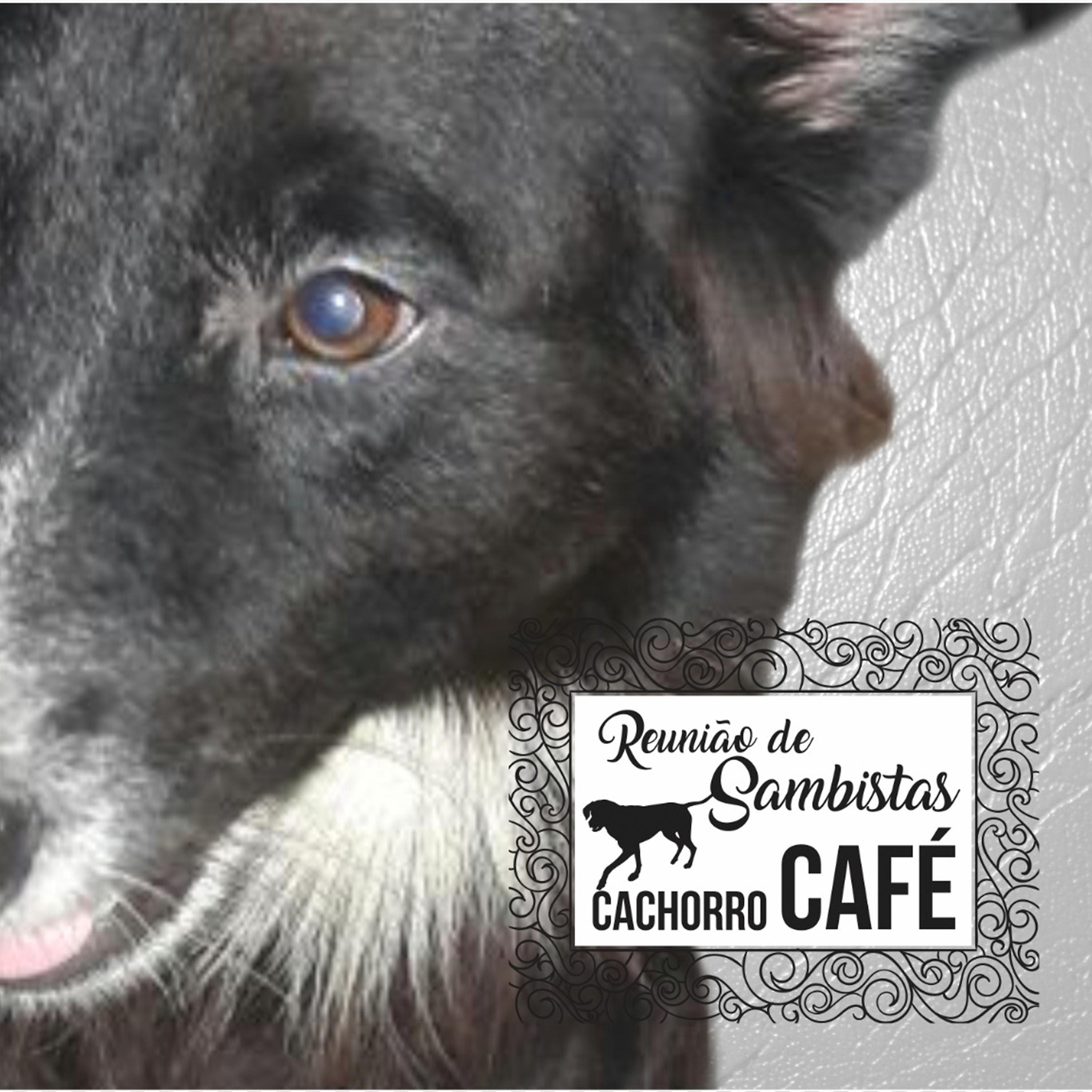 Постер альбома Reunião de Sambistas - Cachorro Café