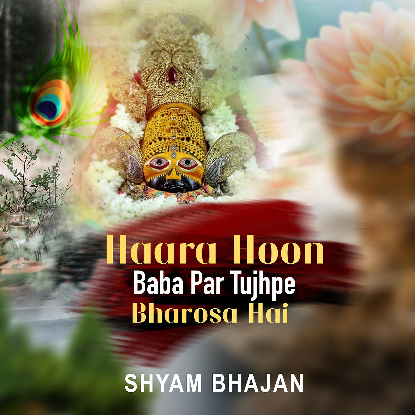Постер альбома Haara Hu Baba Par Tujhpe Bharosa Hai