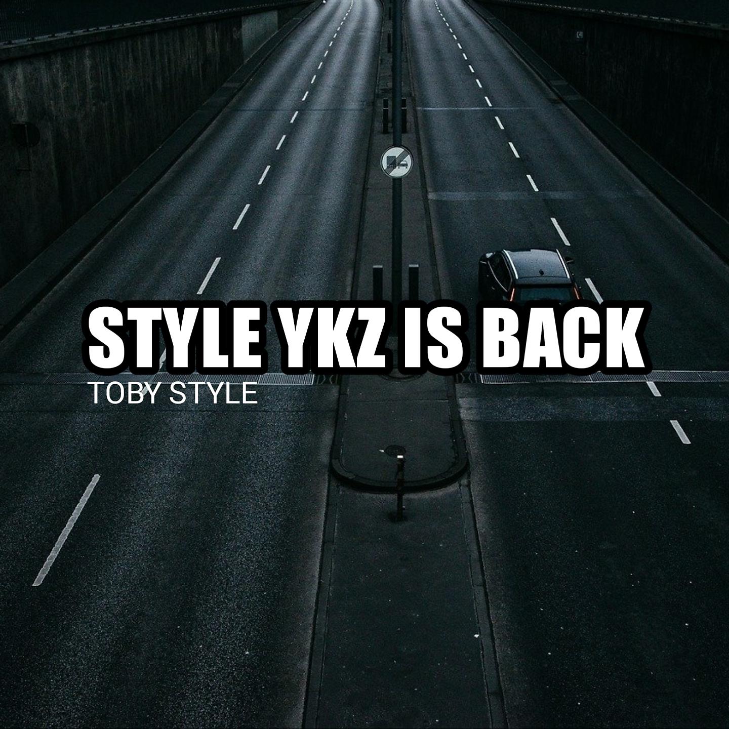 Постер альбома Style YKZ is Back