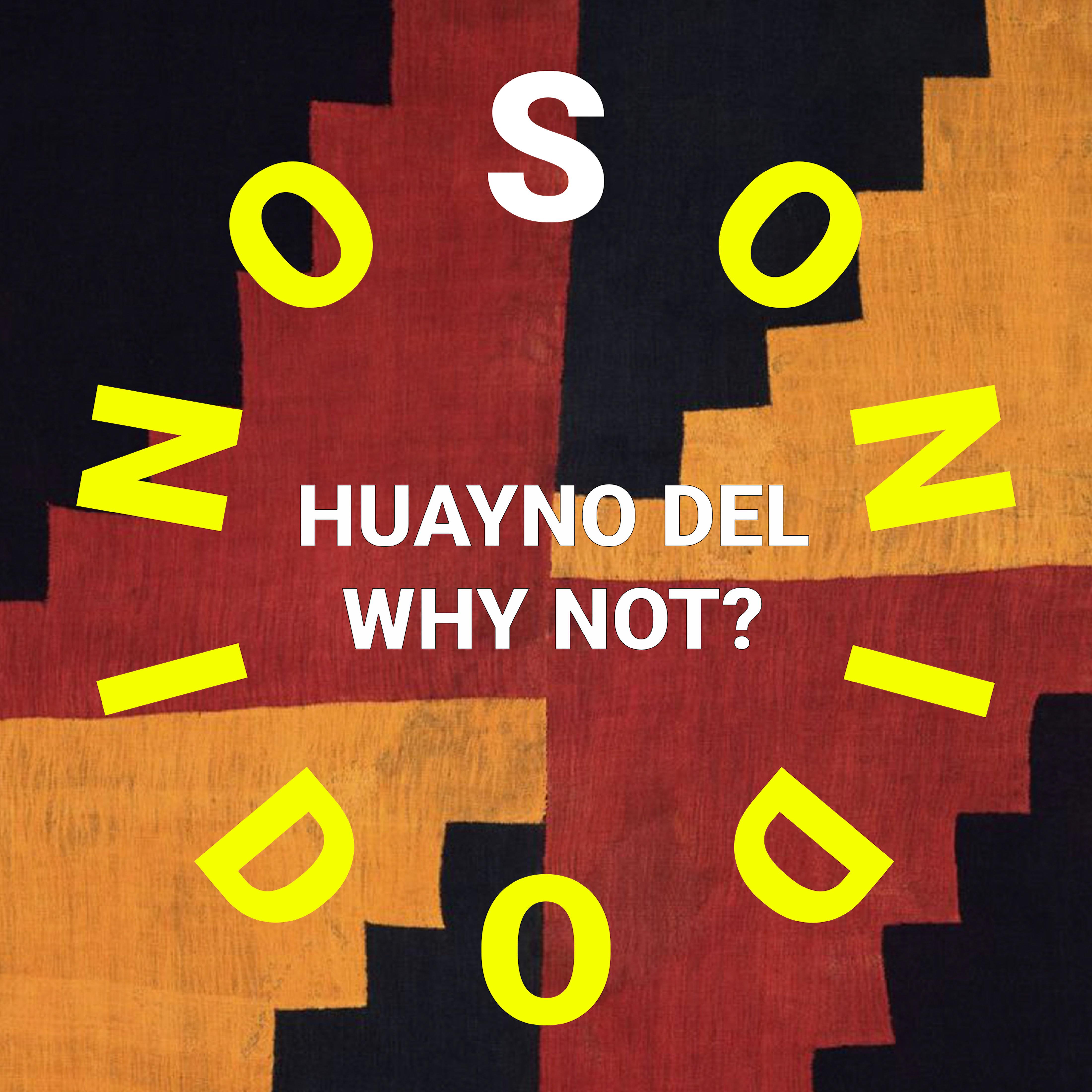 Постер альбома Huayno del Why Not?