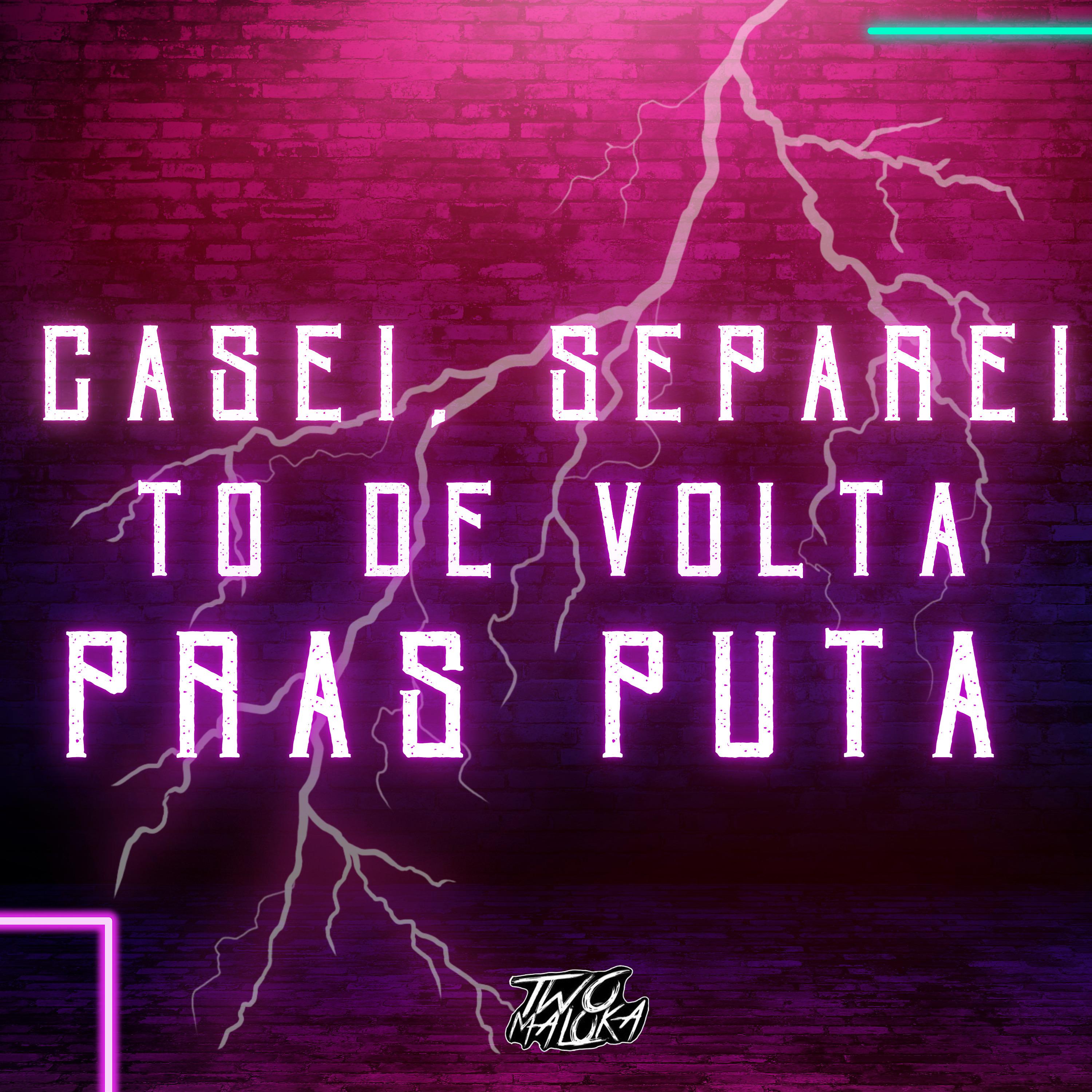 Постер альбома Casei, Separei To de Volta Pras Puta