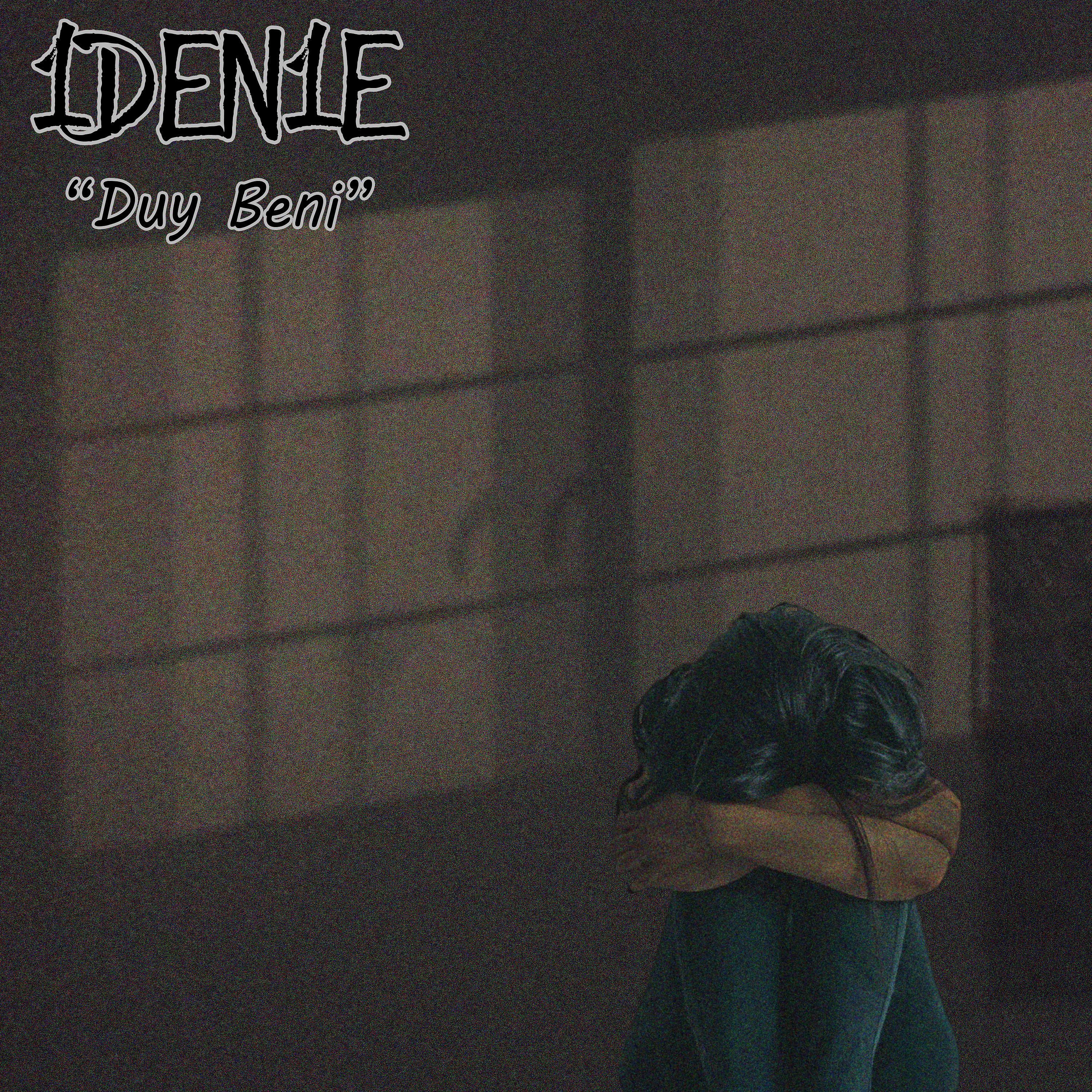 Постер альбома Duy Beni