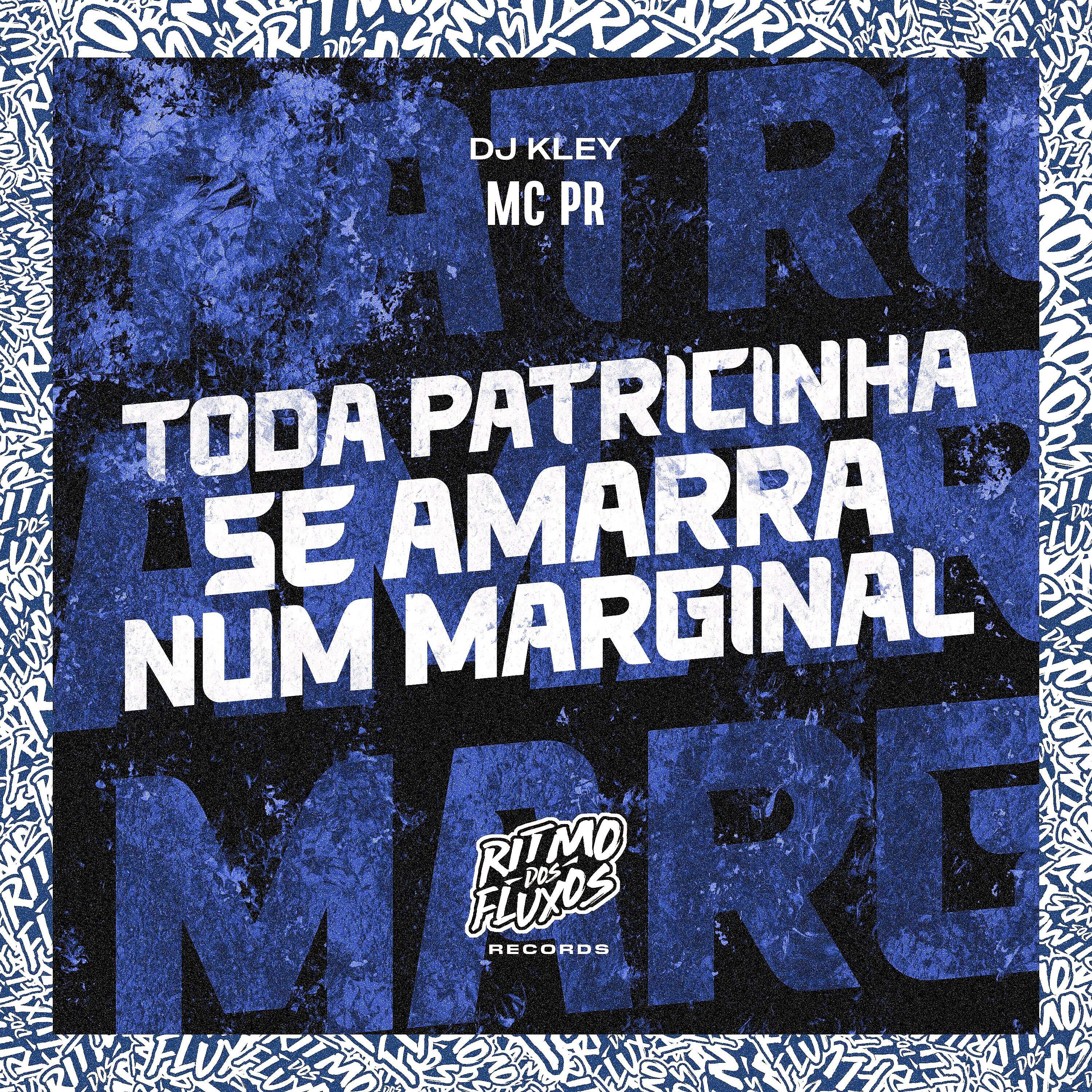 MC PR - Toda Patricinha Se Amarra Num Marginal