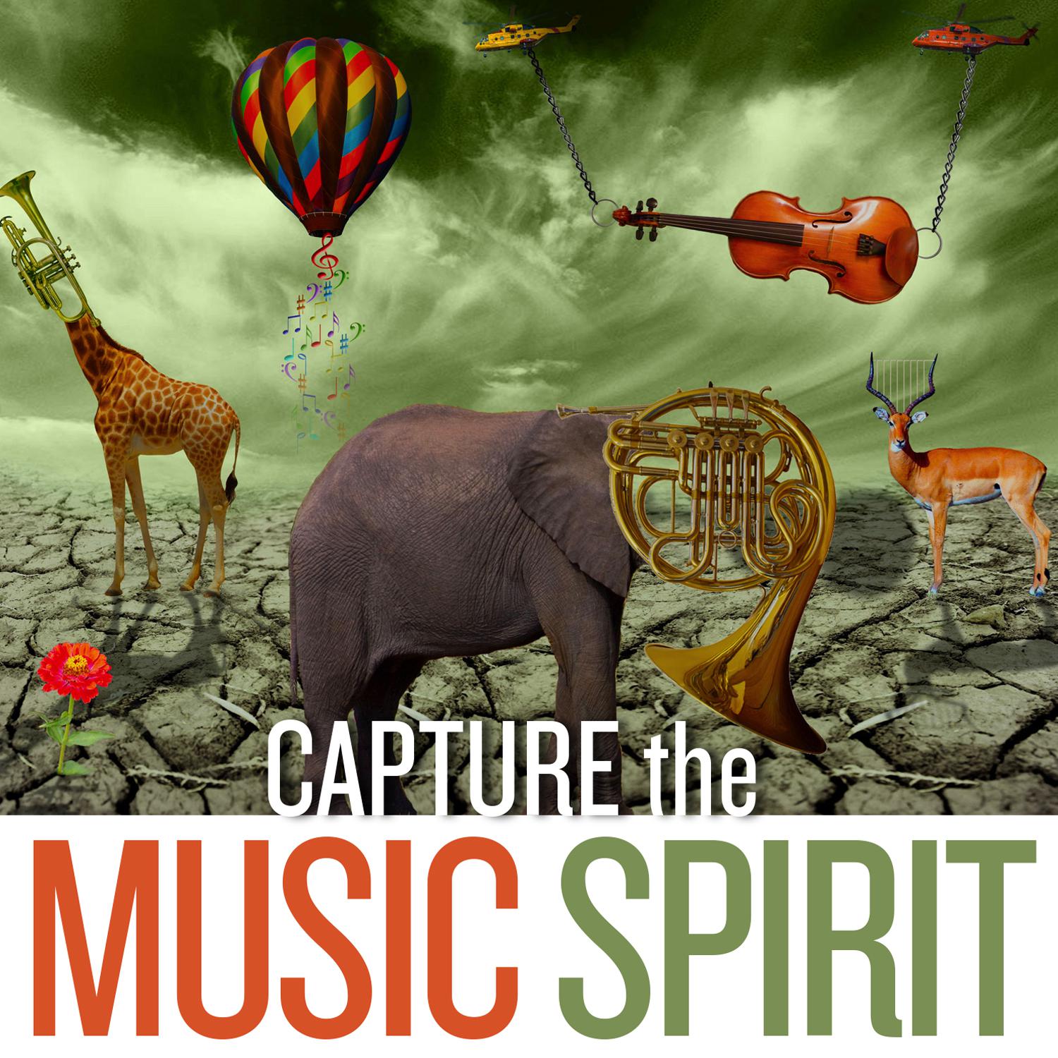 Постер альбома Capture the Music Spirit