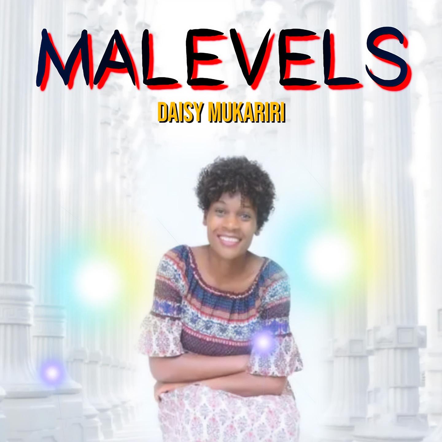 Постер альбома Malevels