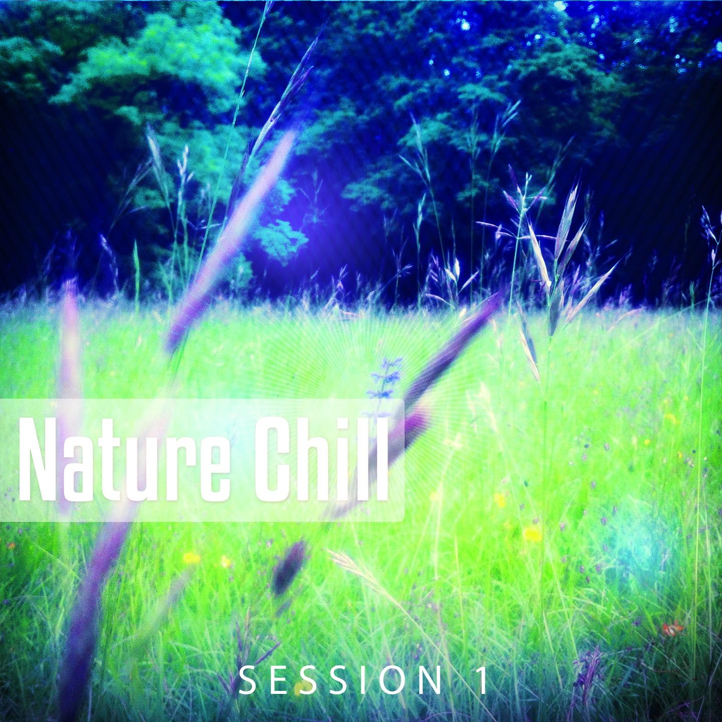 Постер альбома Nature Chill