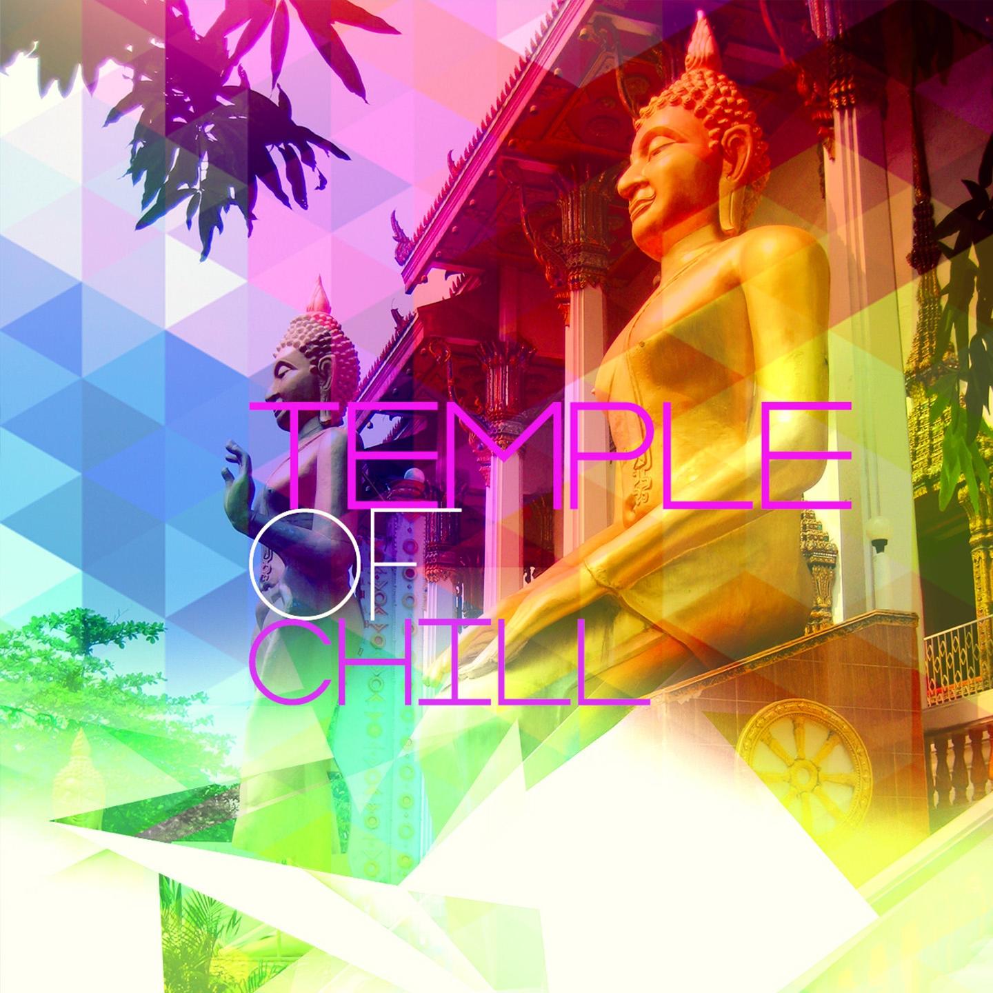 Постер альбома Temple of Chill