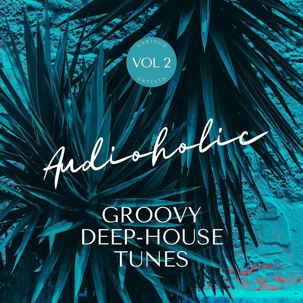 Постер альбома Audioholic (Groovy Deep-House Tunes), Vol. 2