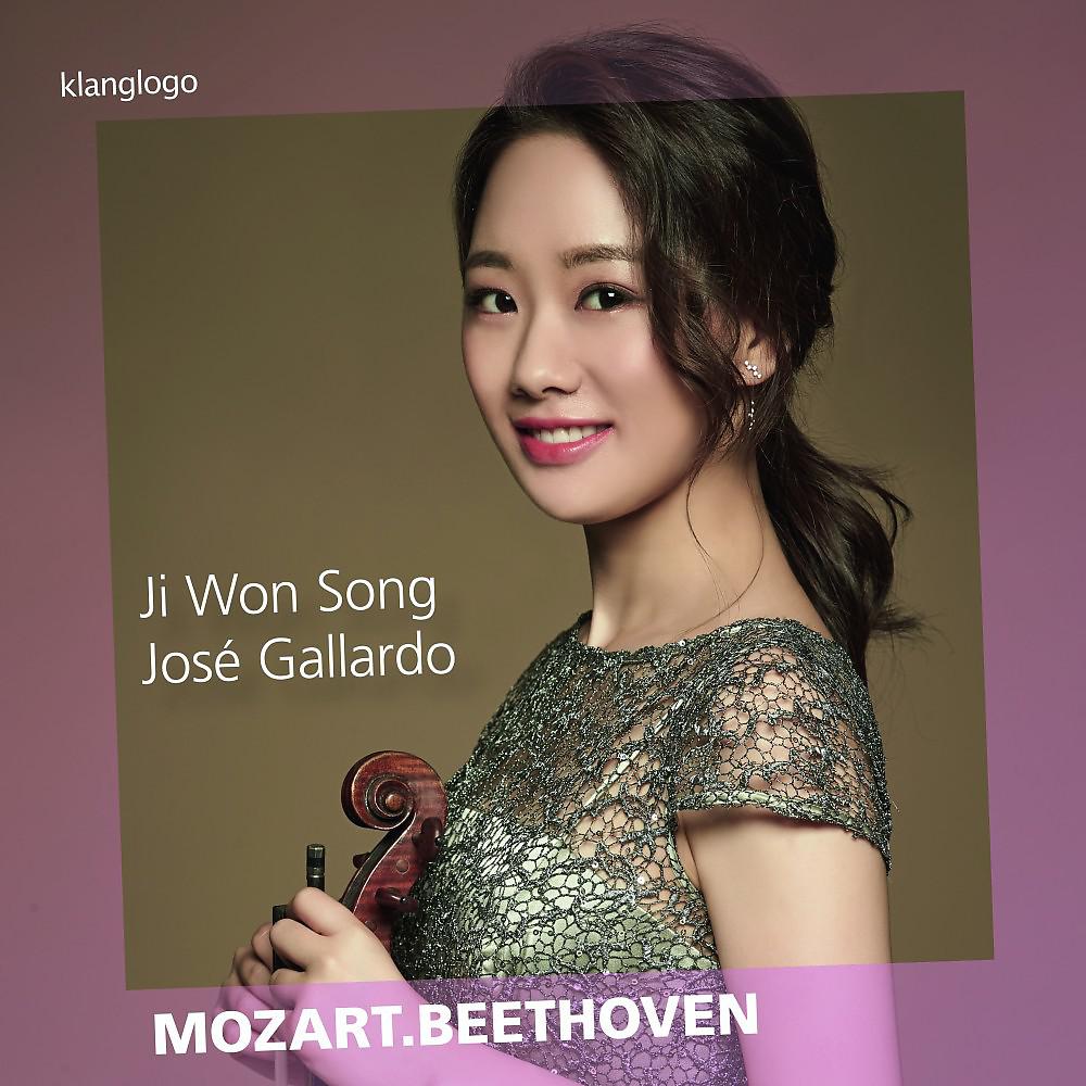 Постер альбома Mozart & Beethoven: Works for Violin