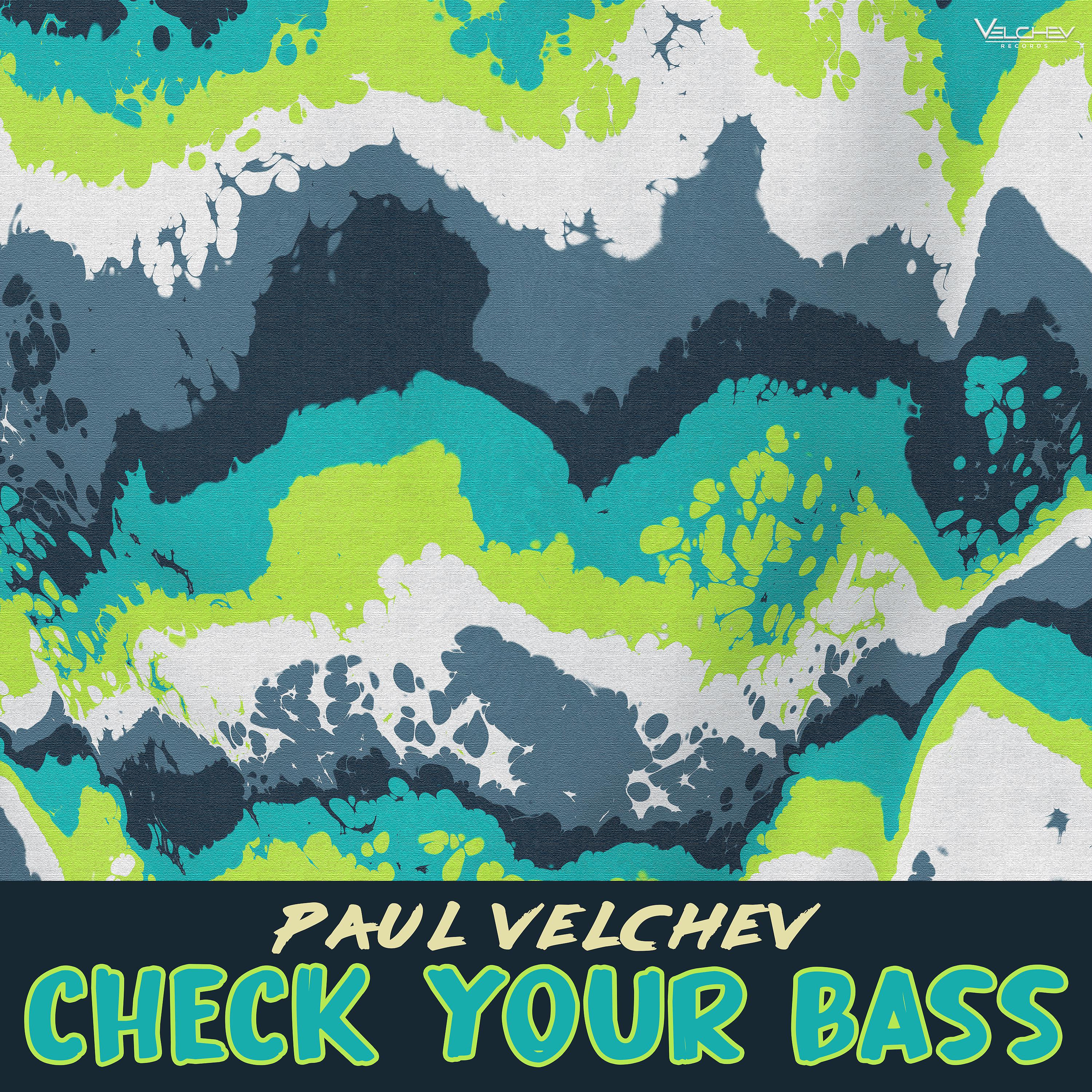 Постер альбома Check Your Bass