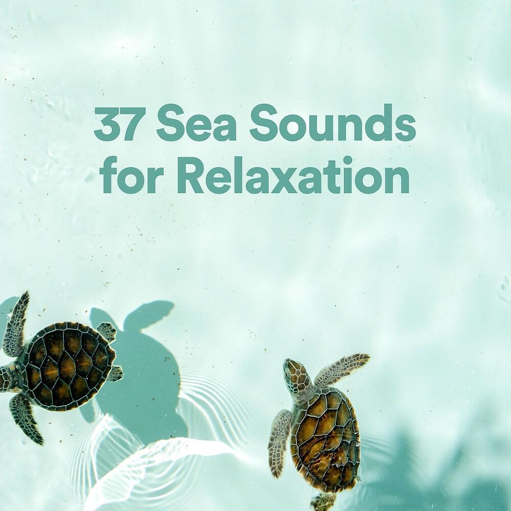 Sounds of Nature Noise - Vehement Ocean