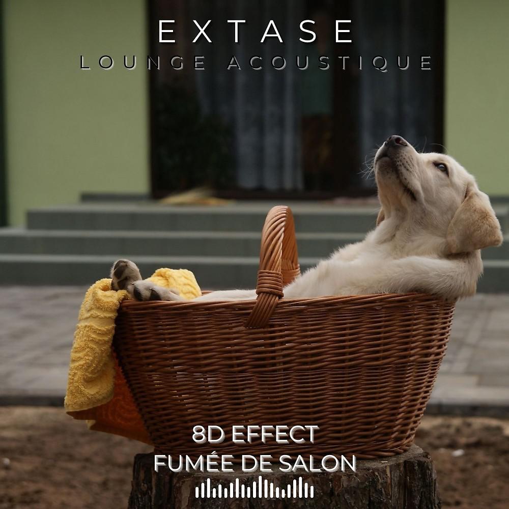 Постер альбома Extase (Lounge Acoustique)