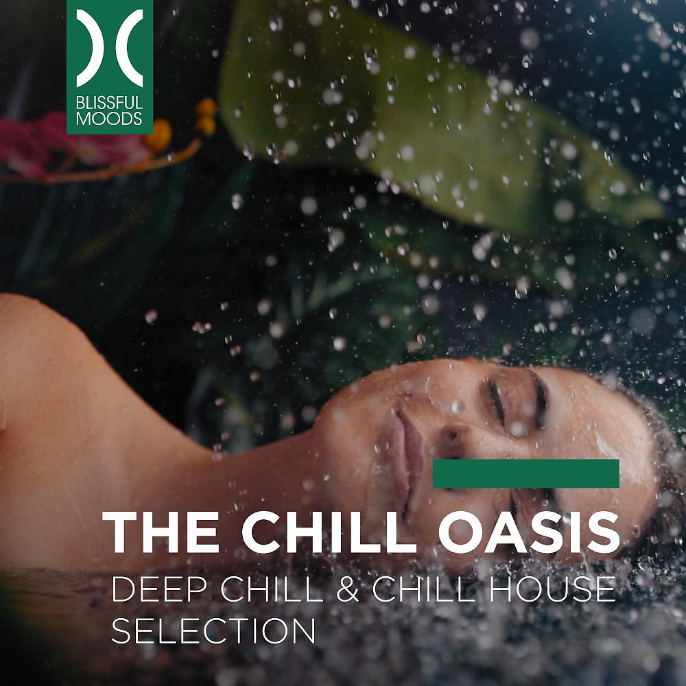 Постер альбома The Chill Oasis (Selection)
