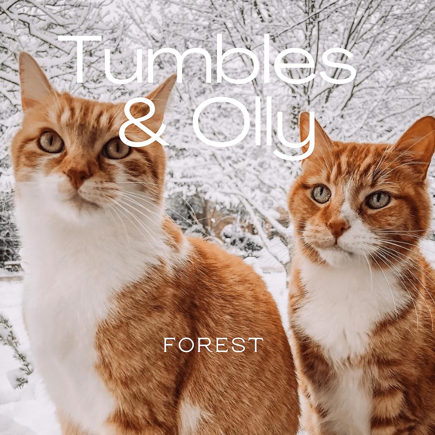 Постер альбома Tumbles & Olly