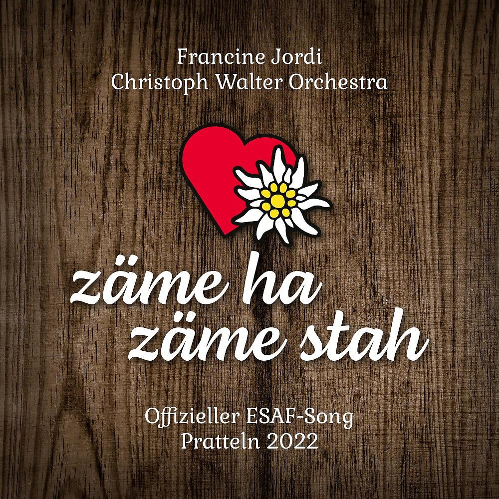 Постер альбома Zäme ha zäme stah (Offizieller ESAF Song Pratteln 2022)