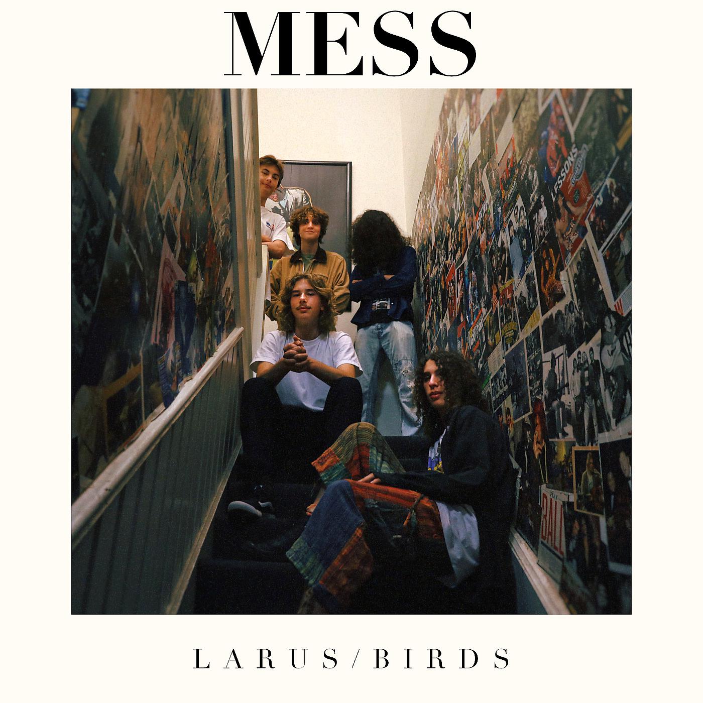 Постер альбома Larus/Birds