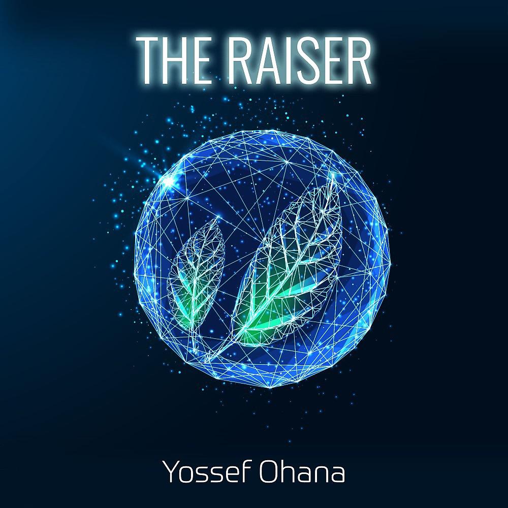 Постер альбома The Raiser (The Ultimate Remixes Collection)