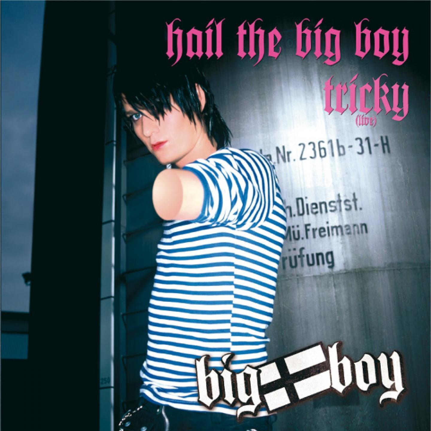 Постер альбома Hail The Big Boy- Tricky