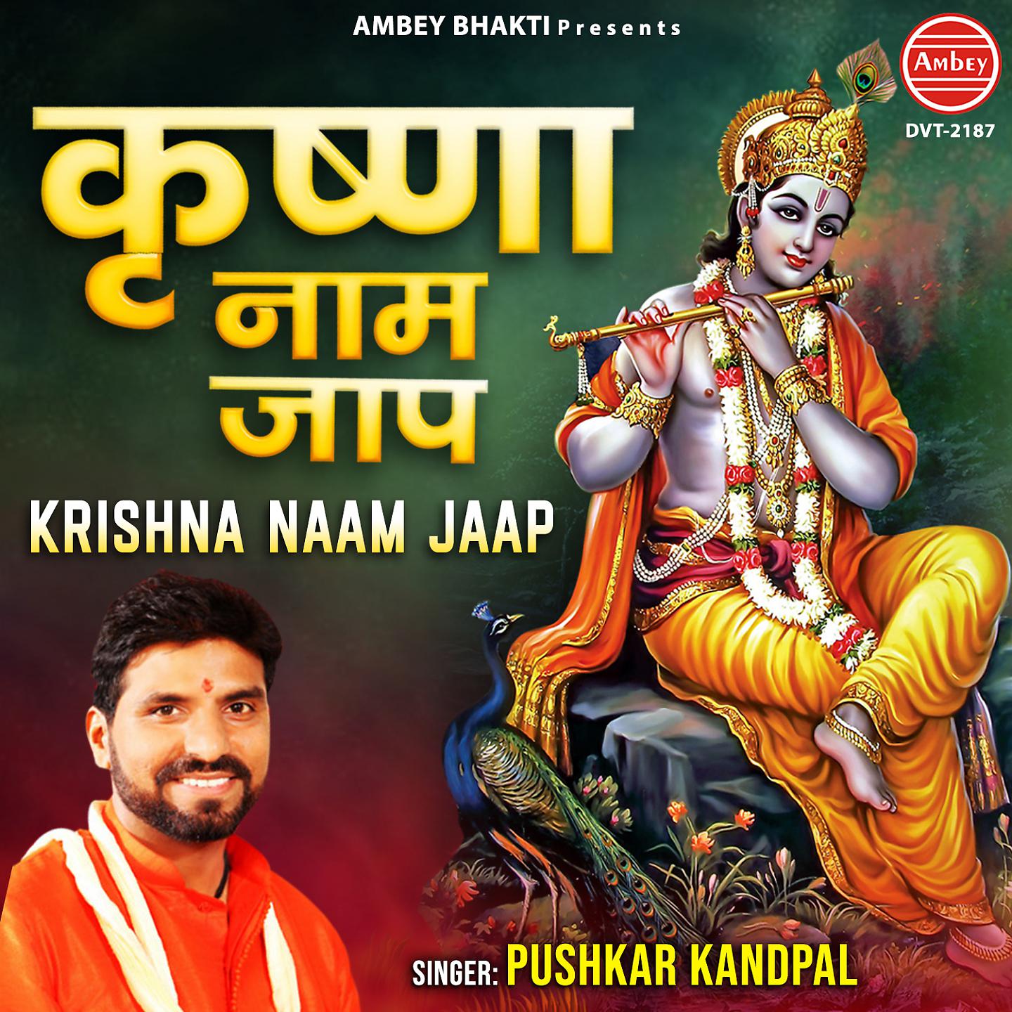 Постер альбома Krishna Naam Jaap