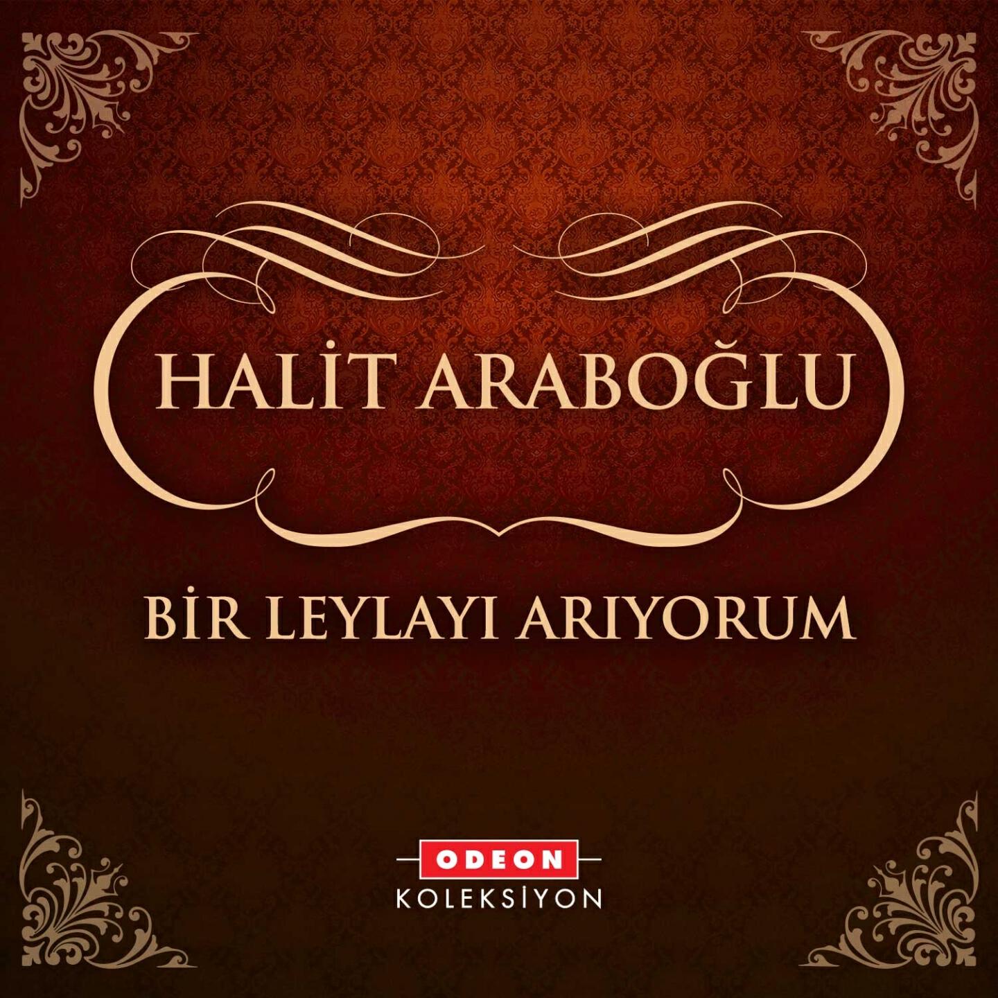 Halit Araboğlu - Bir Leylayı Arıyorum