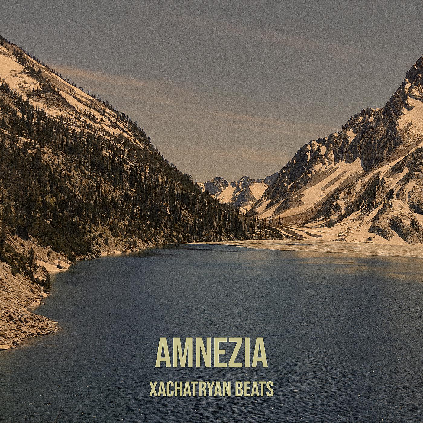 Постер альбома Amnezia