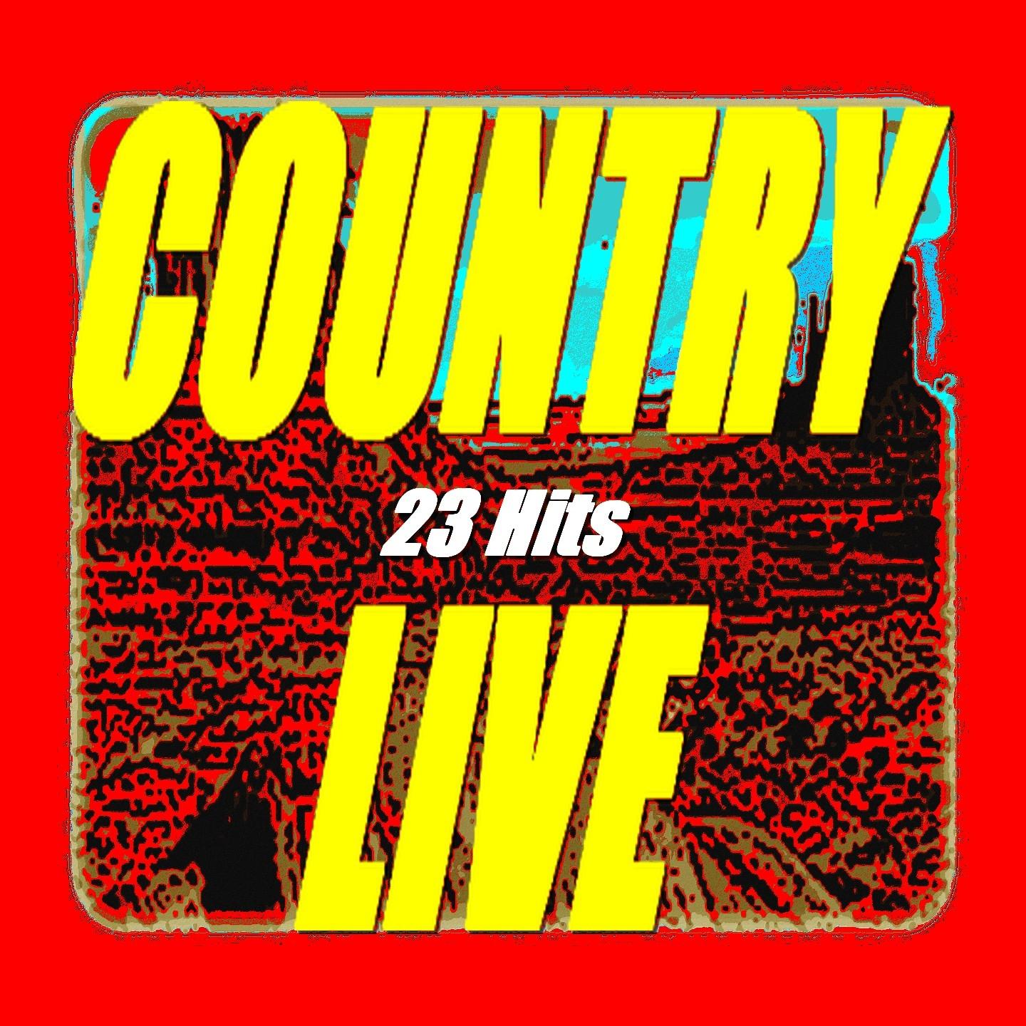 Постер альбома Country Live (23 Hits) [Live]